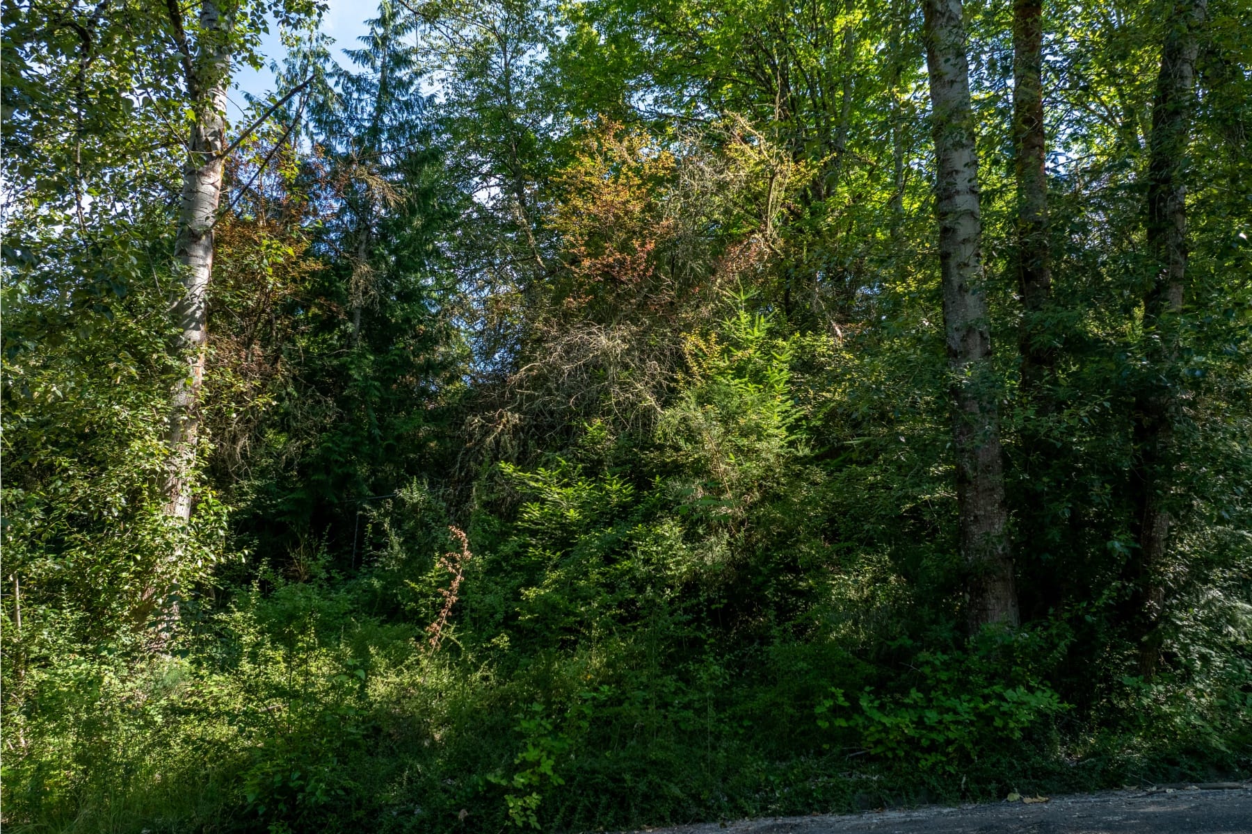  S POWERS-2 CT Portland, OR 97219 - 物件實景