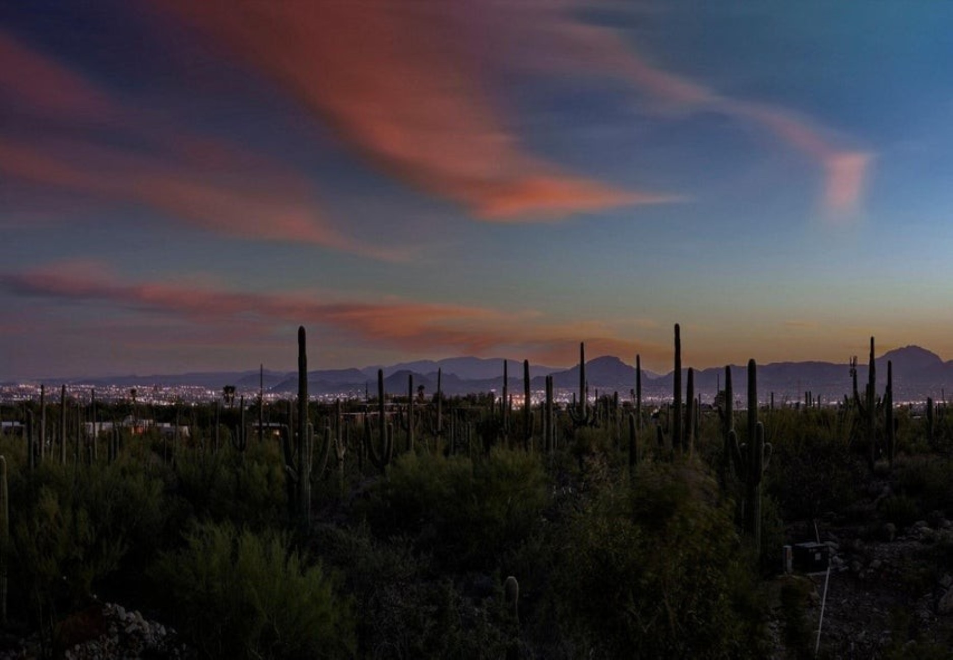  7185 N Agave Ridge Place ¦Tucson, AZ - 物件實景