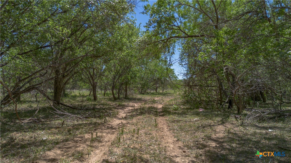 Seguin, Texas, 78155, United States, ,Land,For Sale,2048834