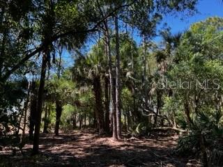 Punta Gorda, Florida, 33982, United States, ,Land,For Sale,1840783