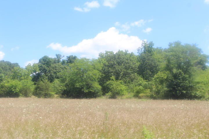 Polk, Missouri, 65727, United States, ,Land,For Sale,1980569