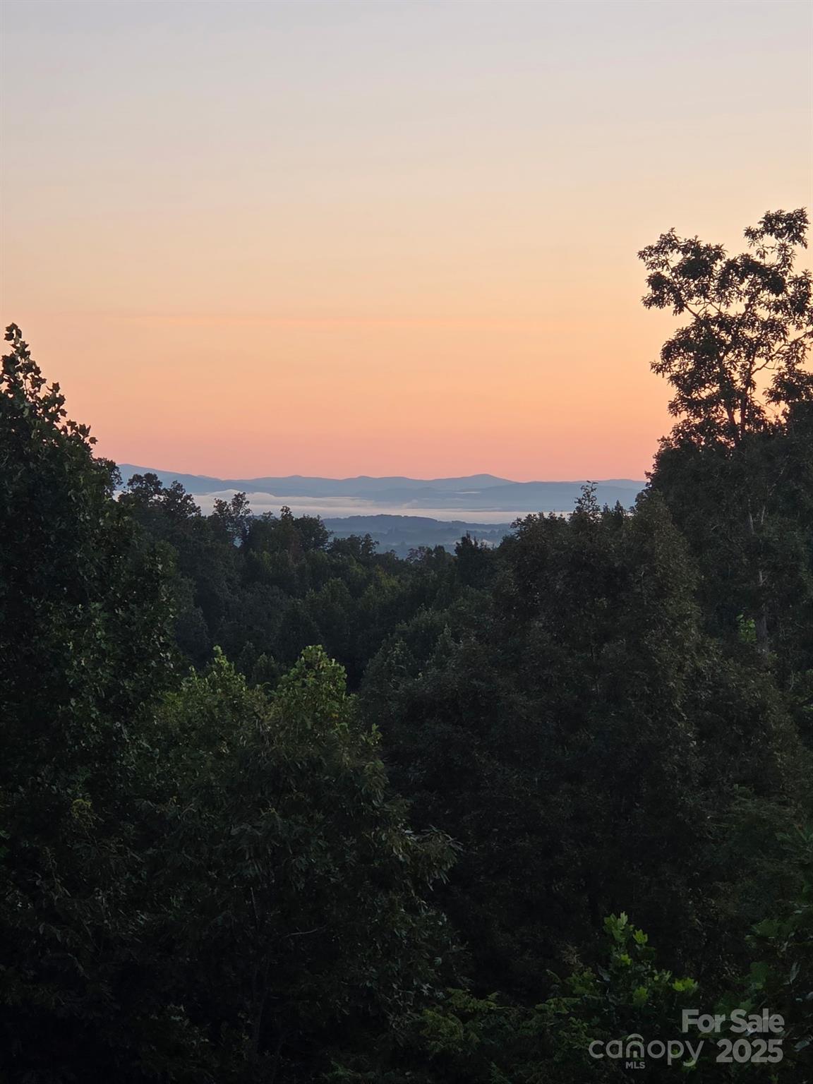 Nebo, North Carolina, 28761, United States, 3 Bedrooms Bedrooms, ,3 BathroomsBathrooms,Residential,For Sale,1996153