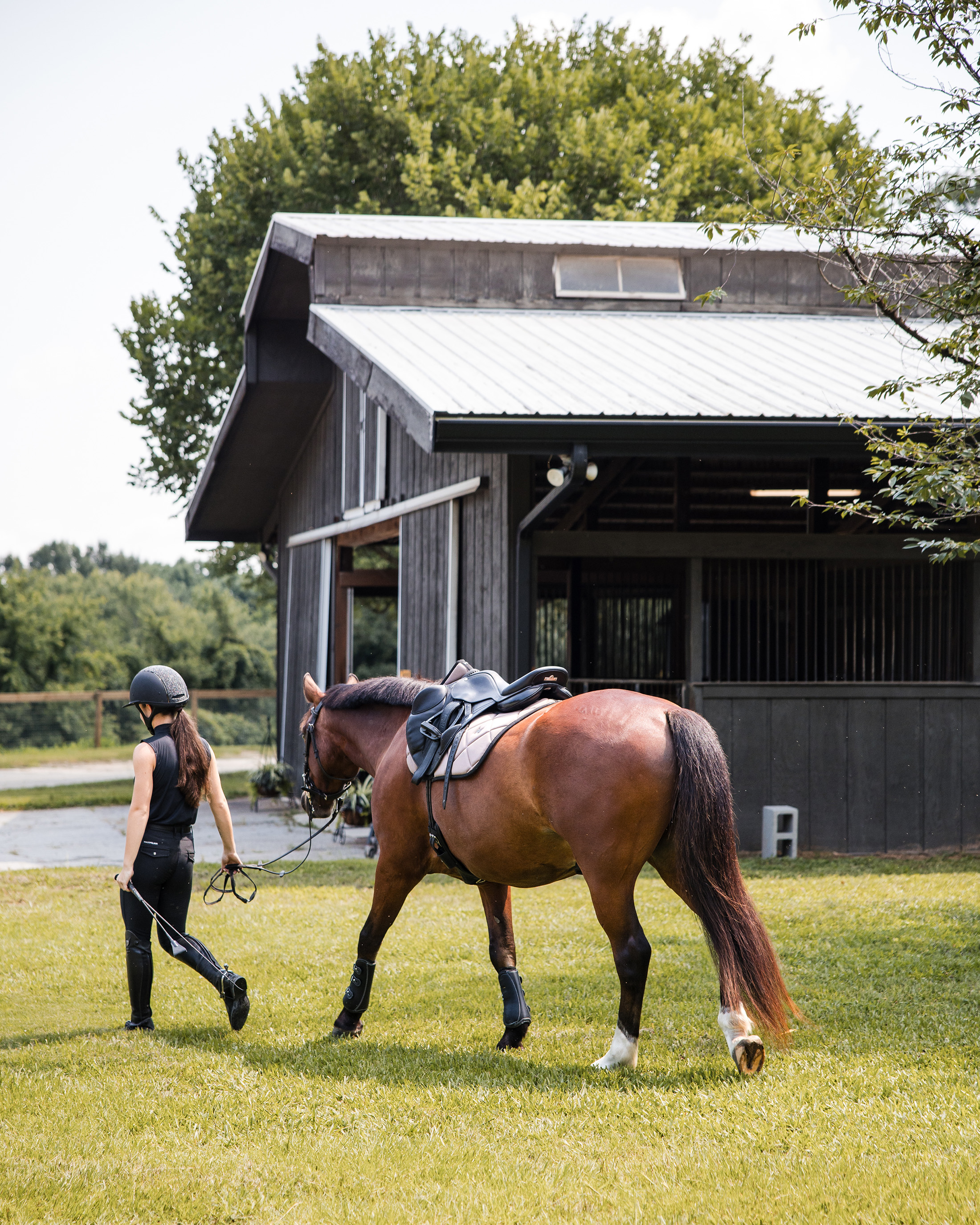  Rare Equestrian Facility with Prestigious Address - 物件實景
