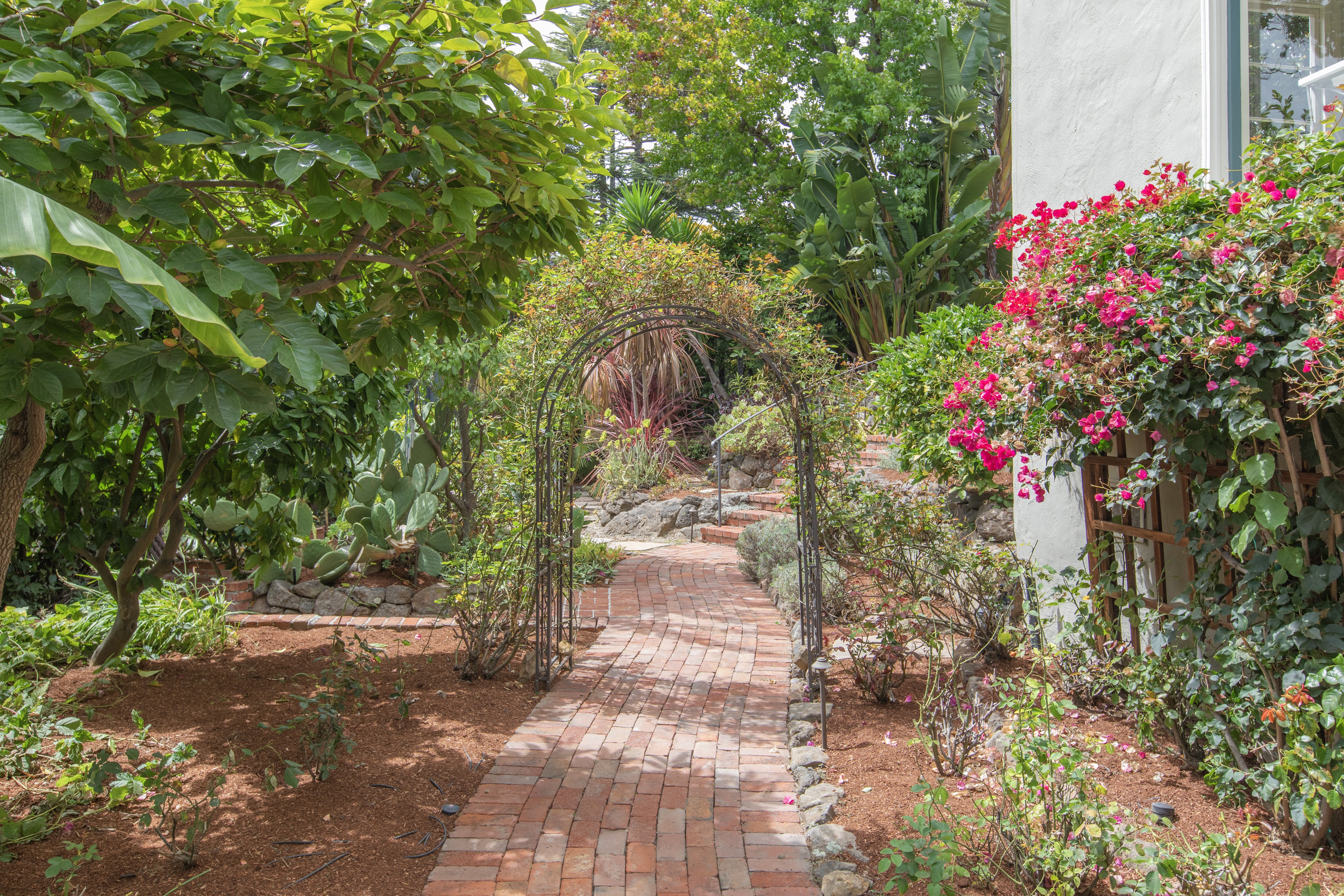  A Cherished Upper Piedmont Estate with Exceptional Views and Gardens - 物件實景