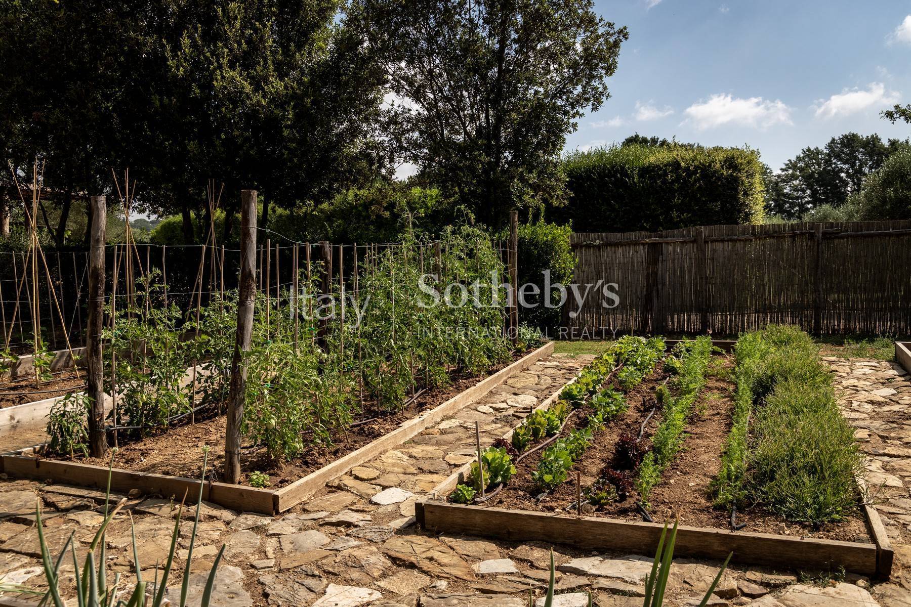  Spectacular estate close to the thermal baths and golf of Saturnia - 物件實景