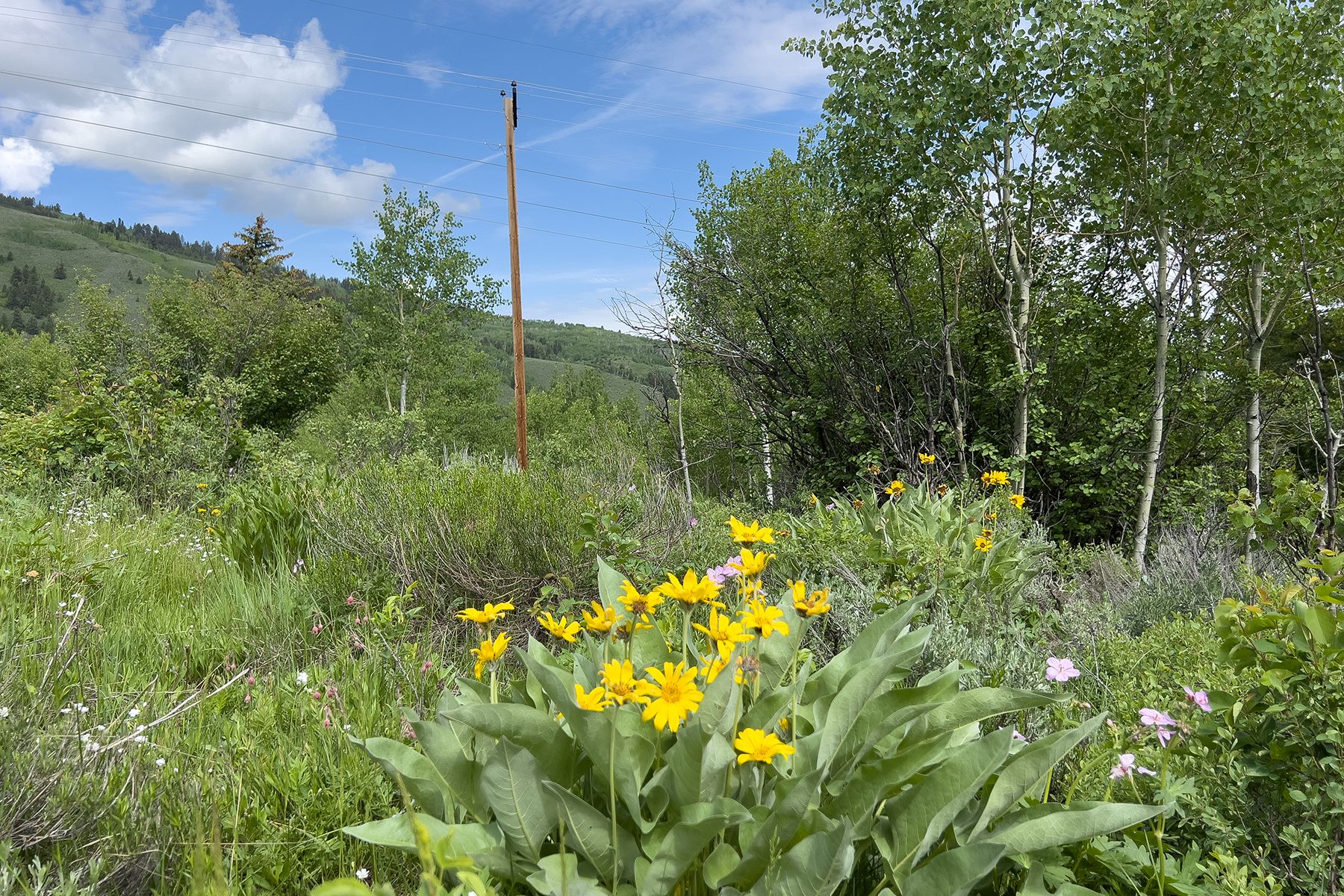  Rodeo Road - 物件實景