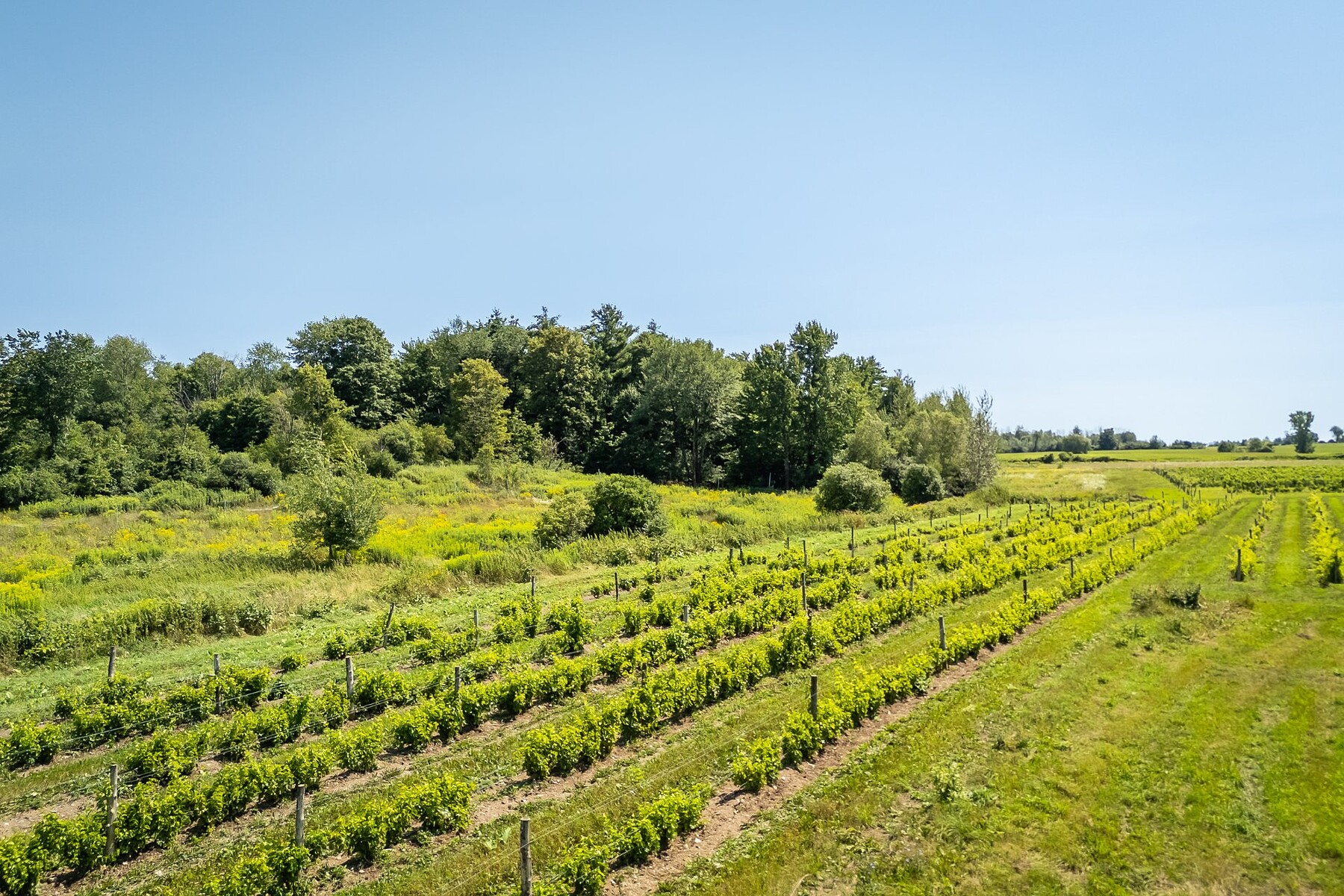  Saint-Armand, Eastern Townships - 物件實景