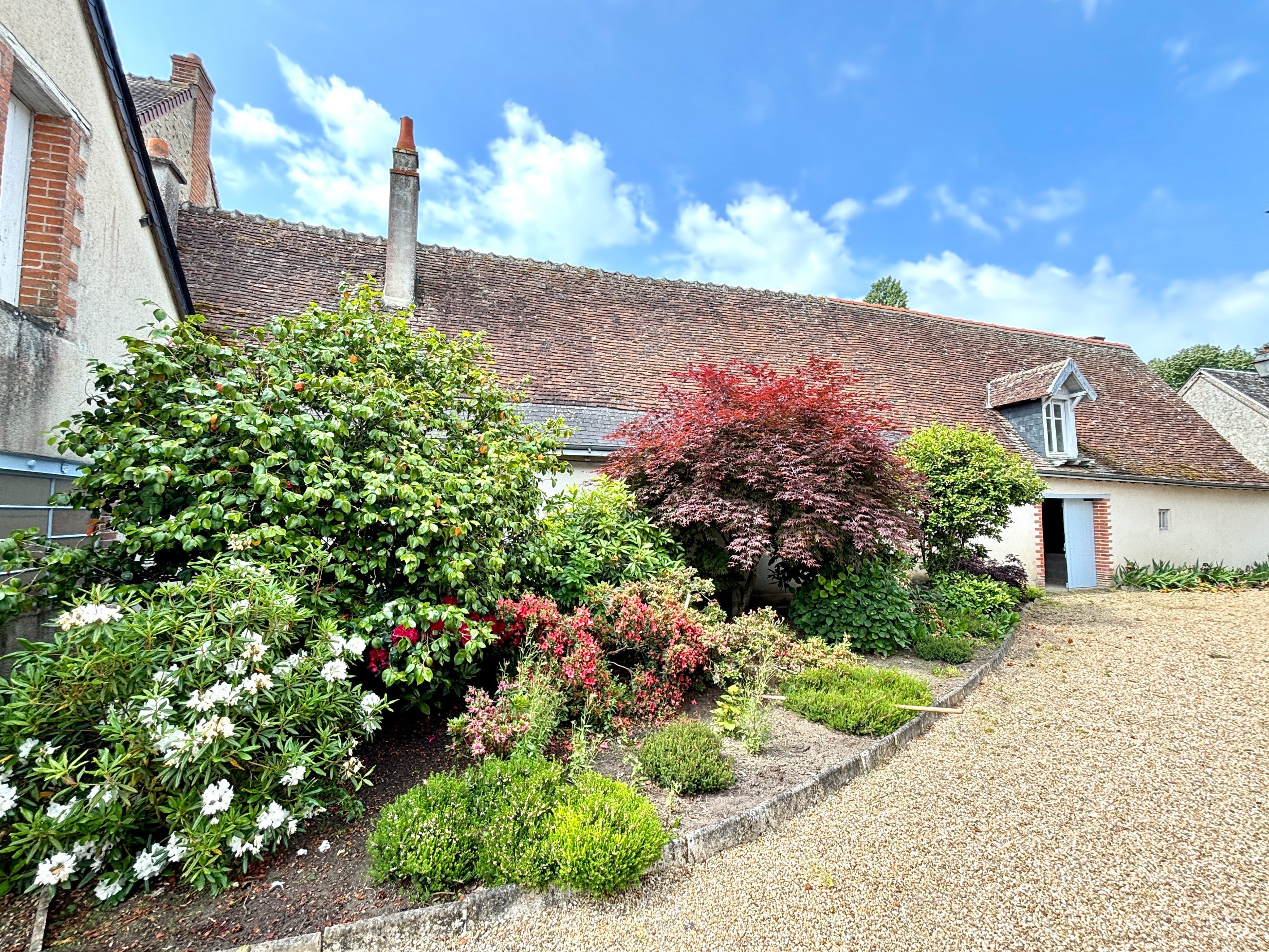  Beautiful and big house near Tours - 物件實景