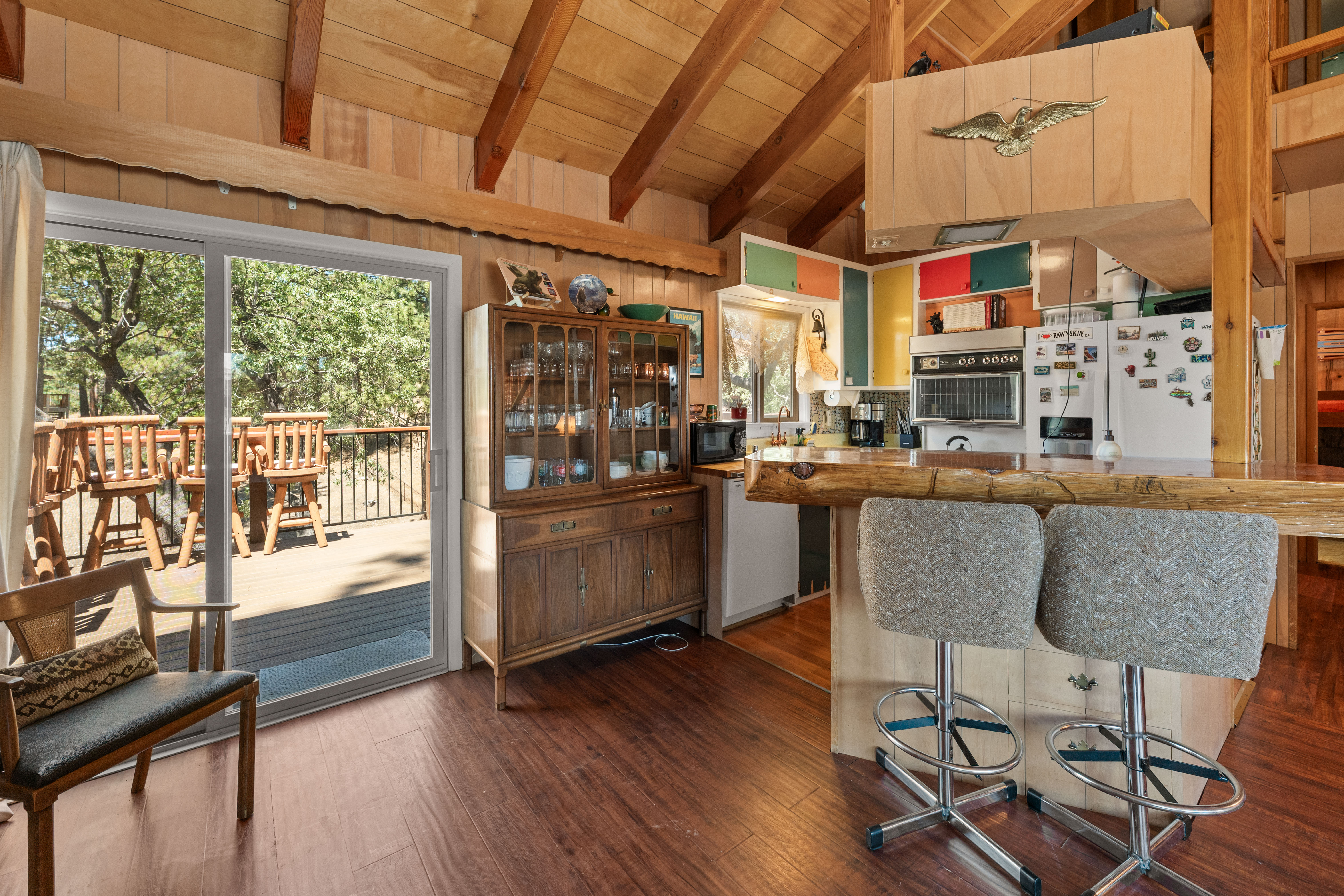  1156 Bruin Trail, Fawnskin, CA 92333 - 物件實景