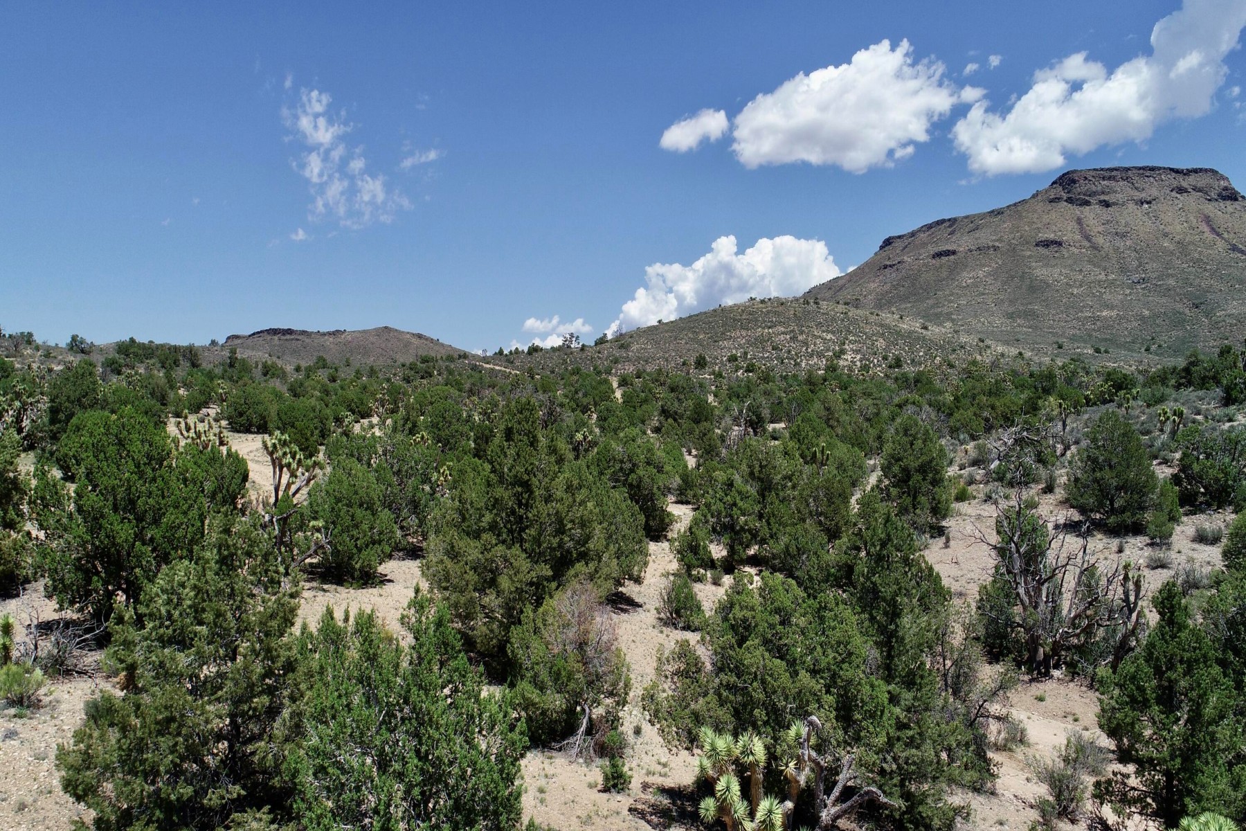  5838 E Diamond Bar Road ¦ Meadview, AZ - 物件實景