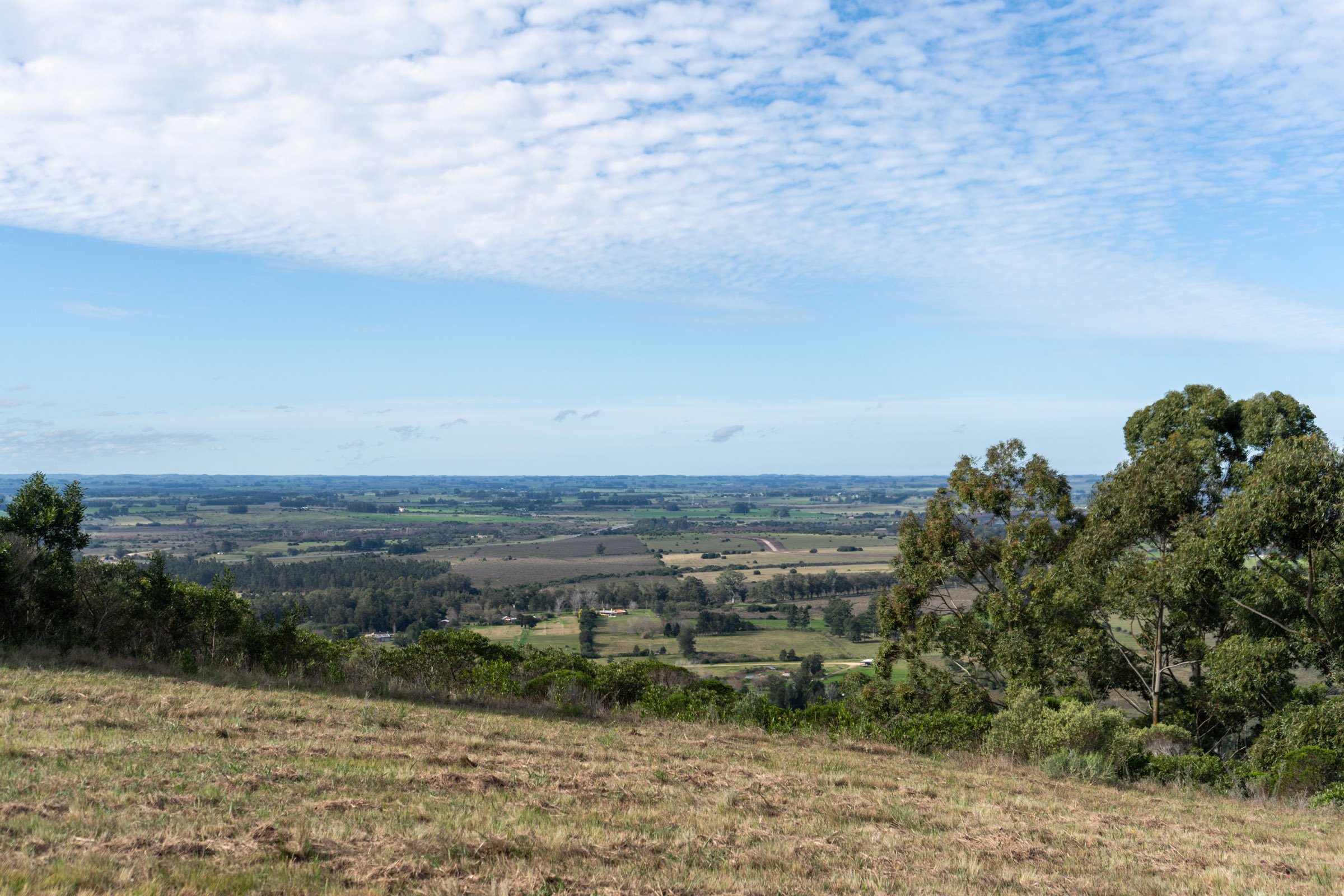  Farm in Las Vertientes, Punta Ballena. - 物件實景