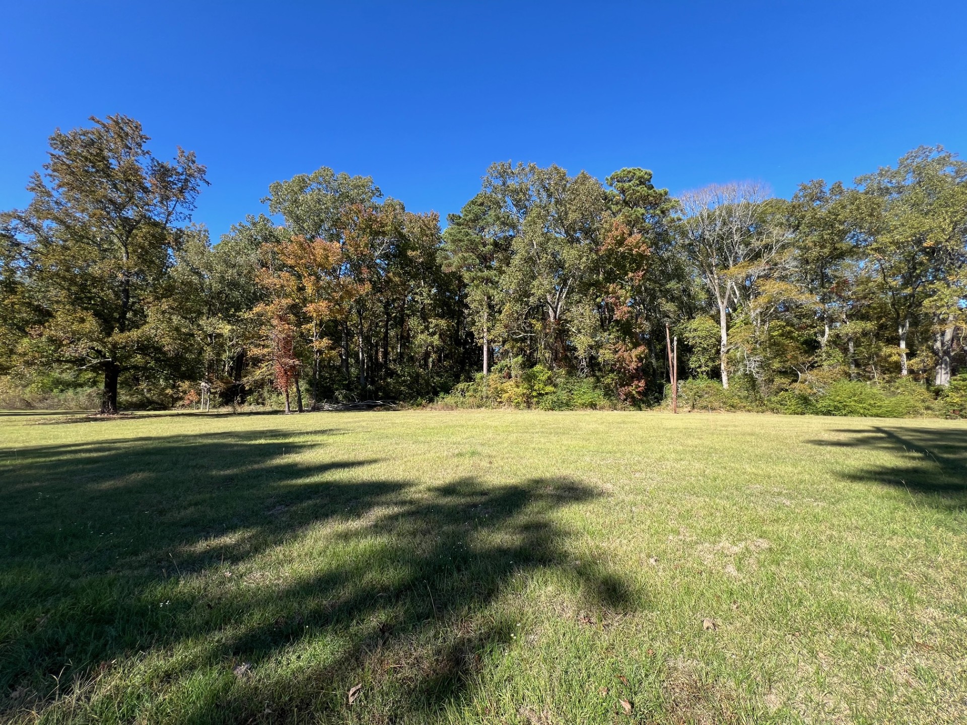 Converse, Louisiana, 71419, United States, ,Residential,For Sale,1995387