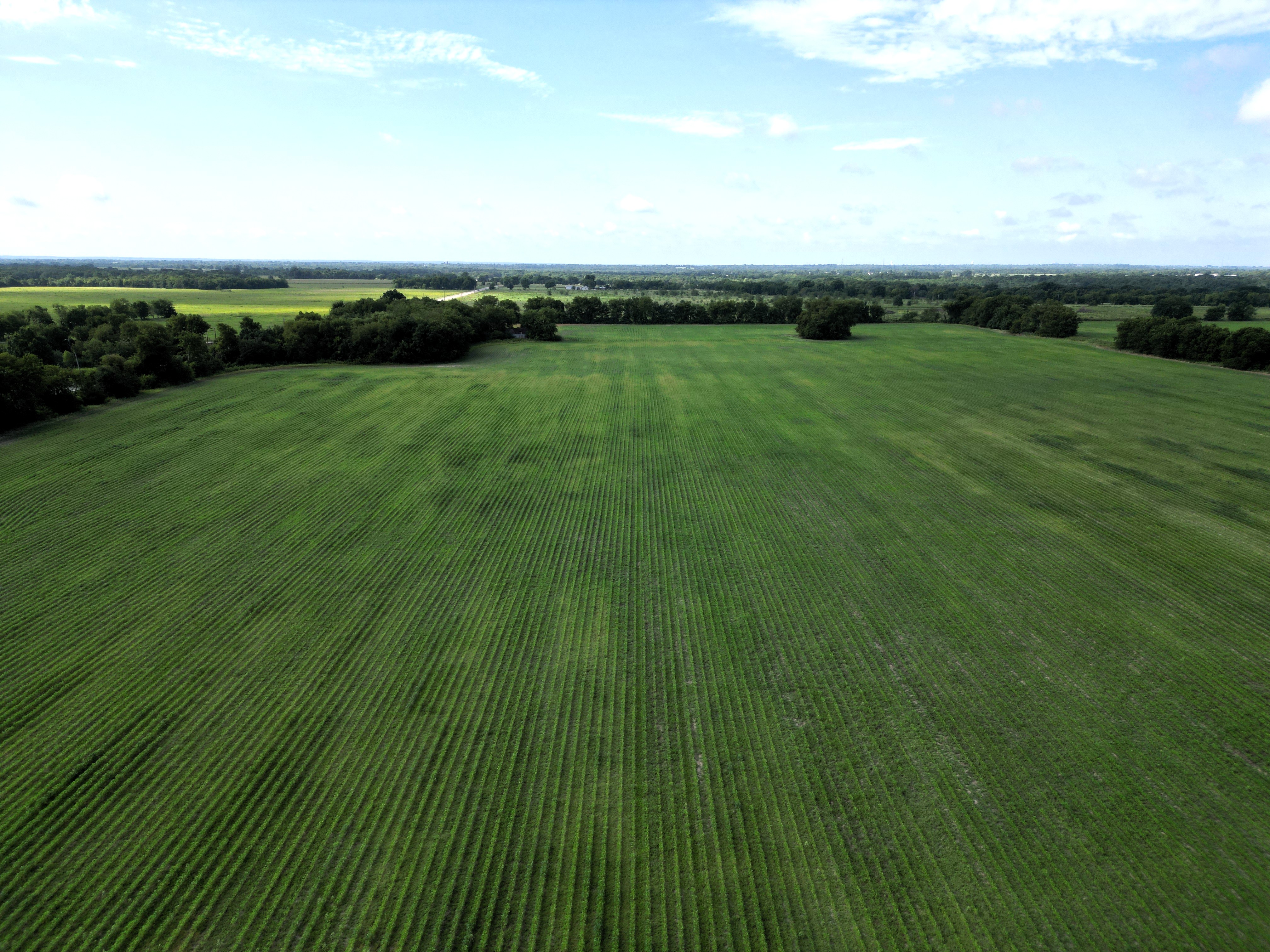 Commerce, Texas, 75428, United States, ,Residential,For Sale,1921218