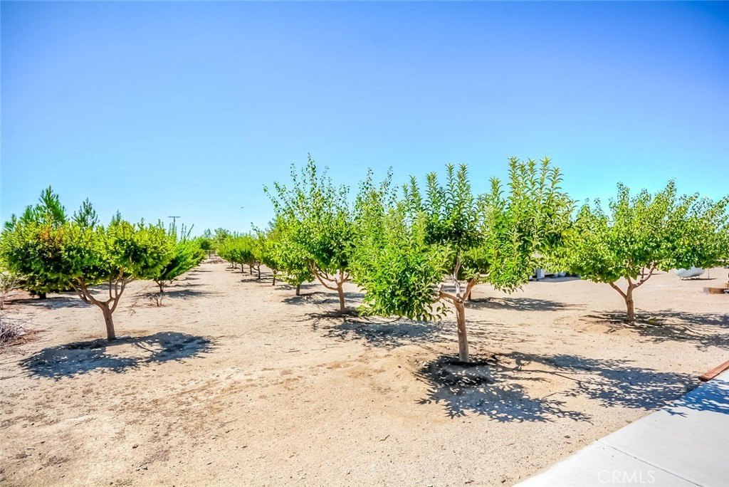 Paramount Rd, Phelan, CA 92371 #1