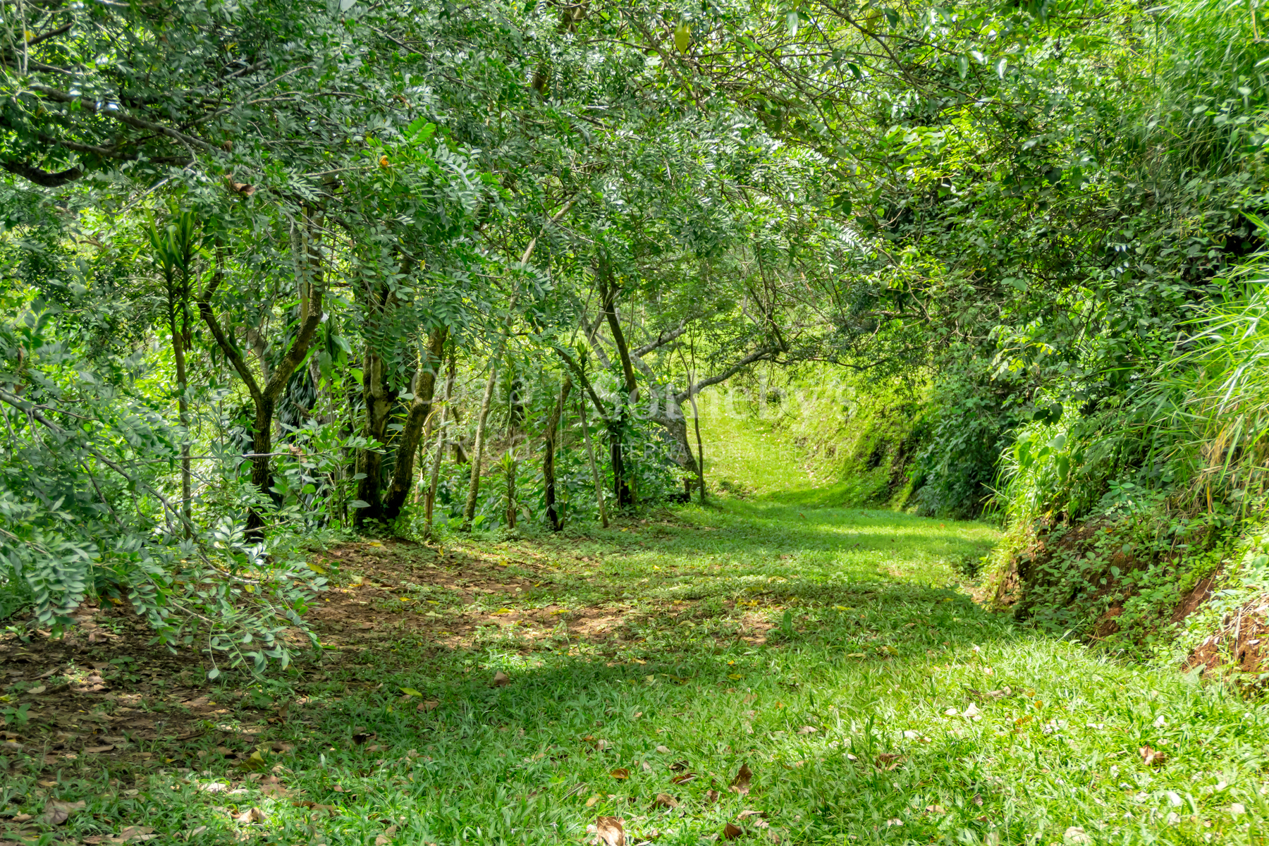  Atenas Highlands Eco Estate - 物件實景
