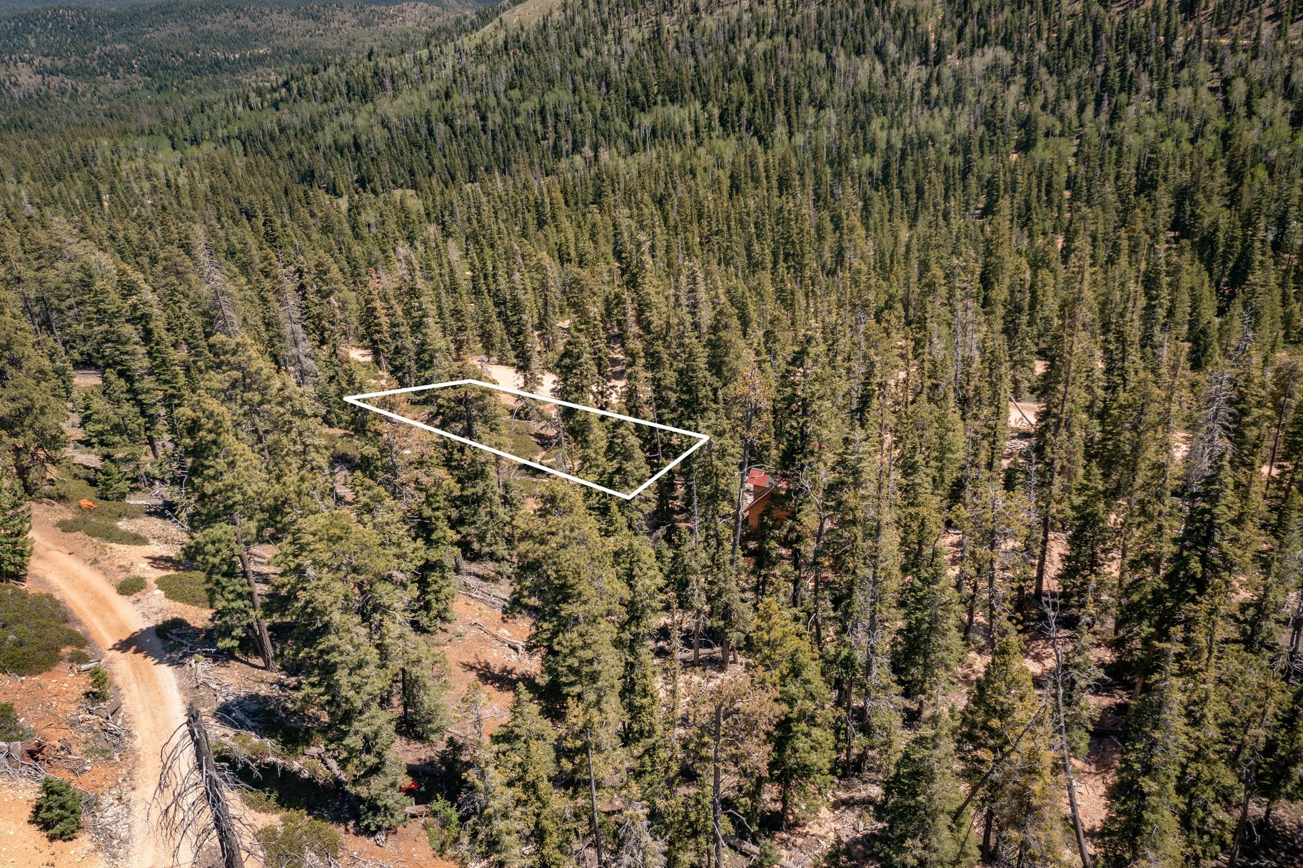 Quiet Mountain Retreat Near Navajo Lake - 物件實景