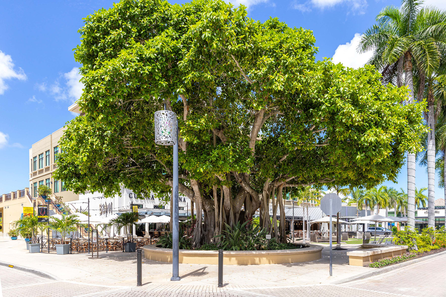  NAPLES PARK - 物件實景
