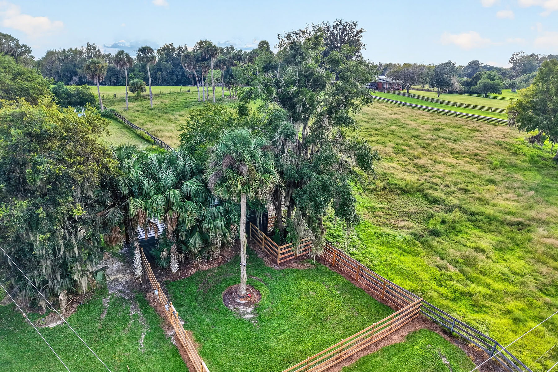  MICANOPY - 物件實景