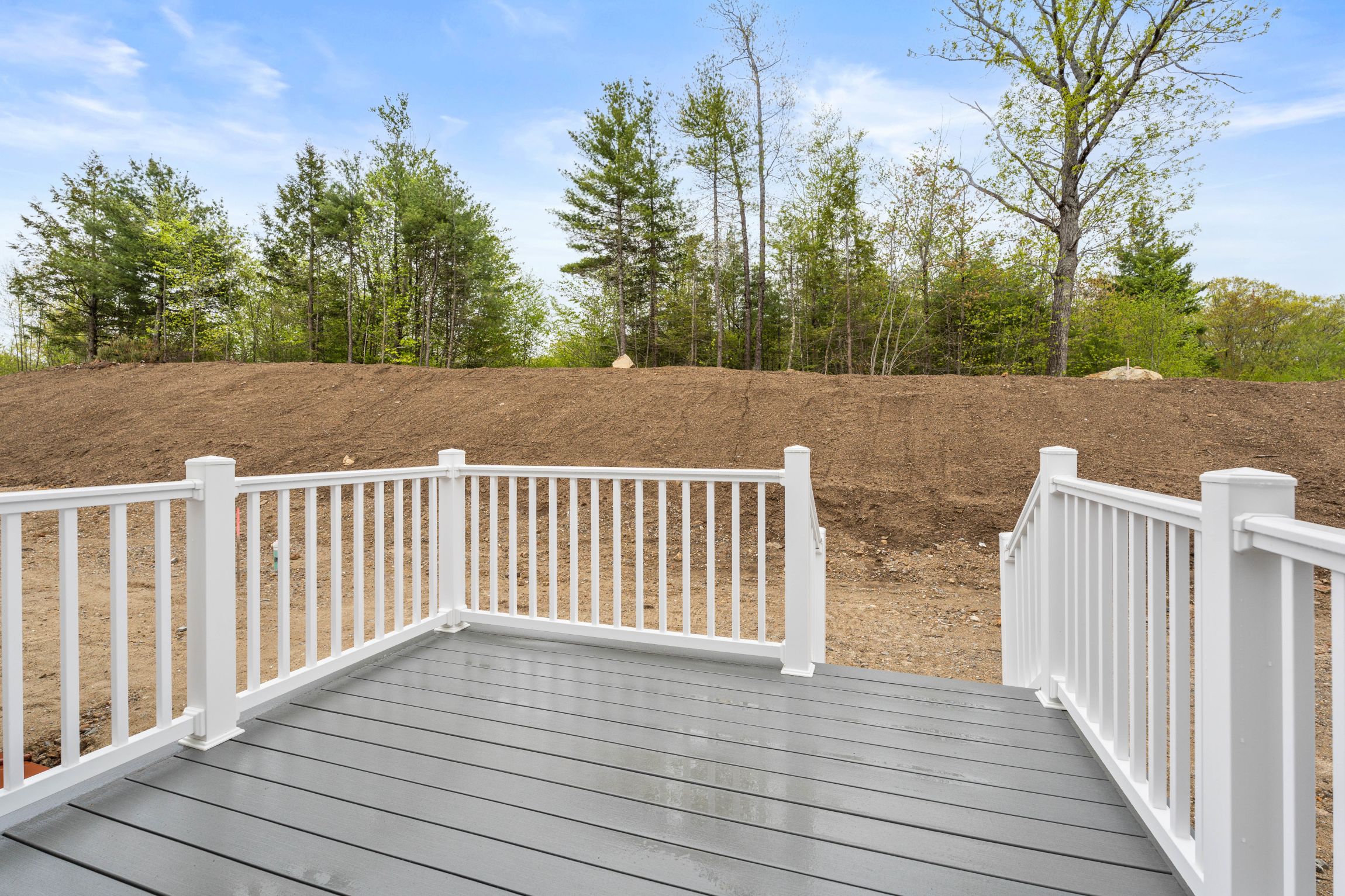  99 Driftwood Circle, Sandown, NH, 03873 - 物件實景