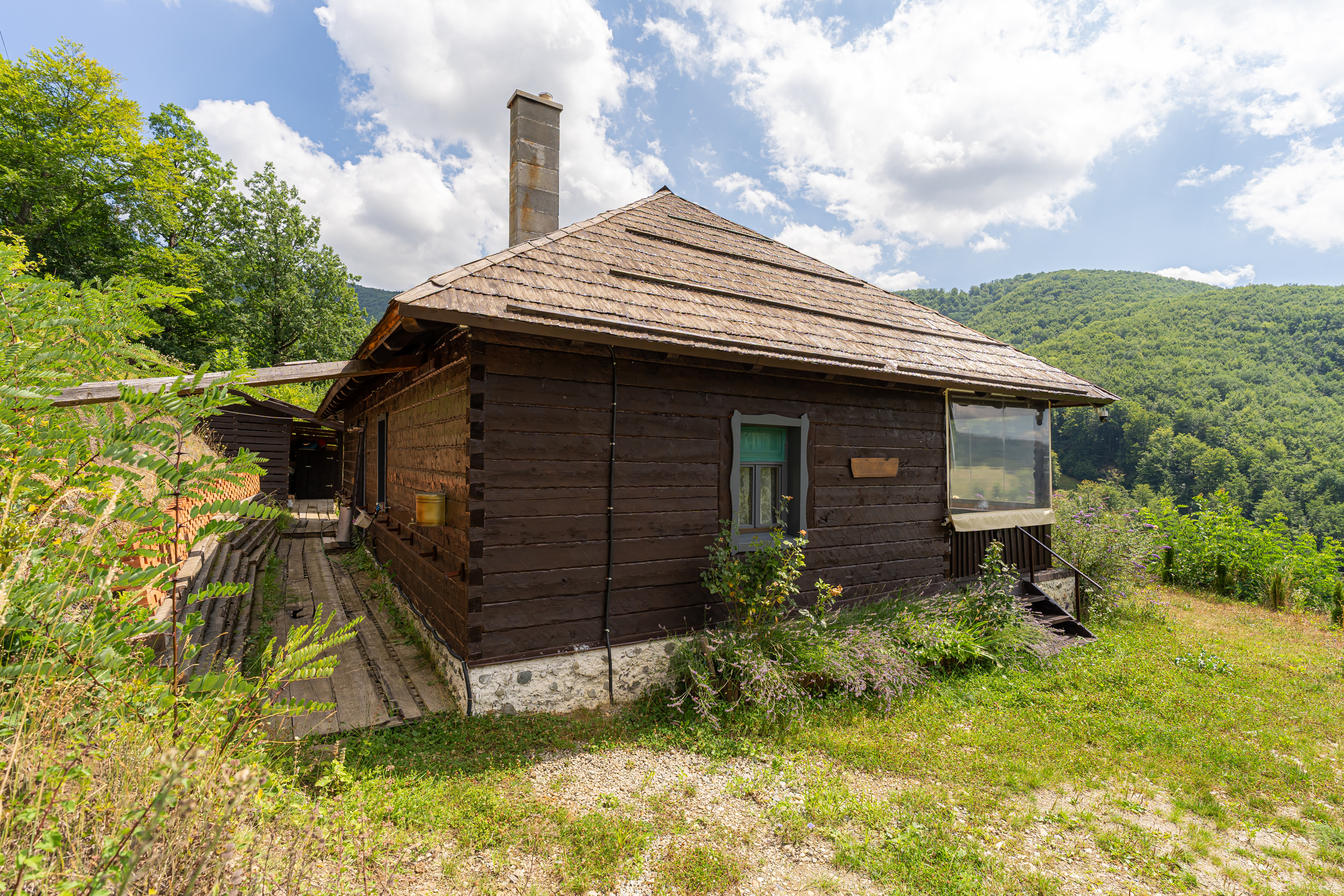  Versatile 22-Hectare Private Estate - Forested Heart of the Apuseni Mountains - 物件實景