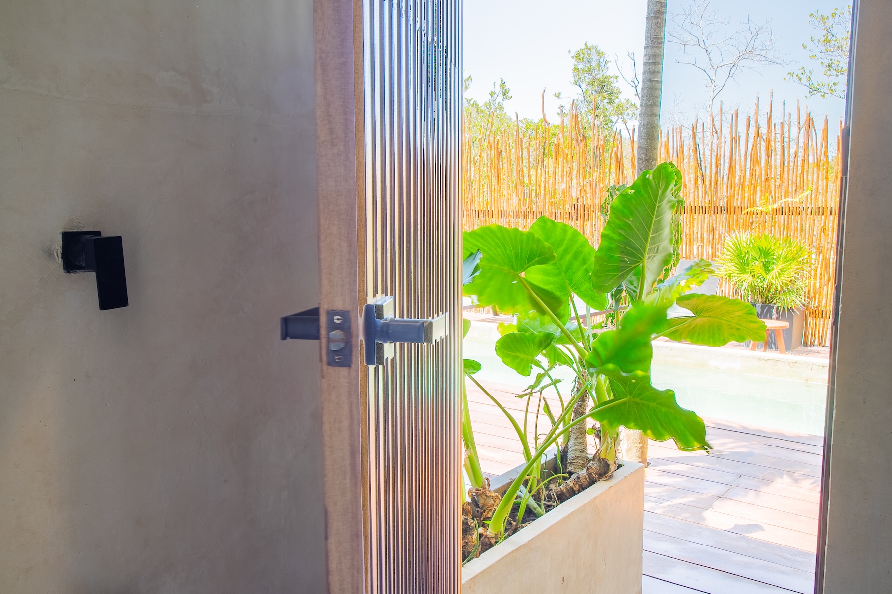  The Twin Canopy Estate  Private Sanctuary in Holbox - 物件實景