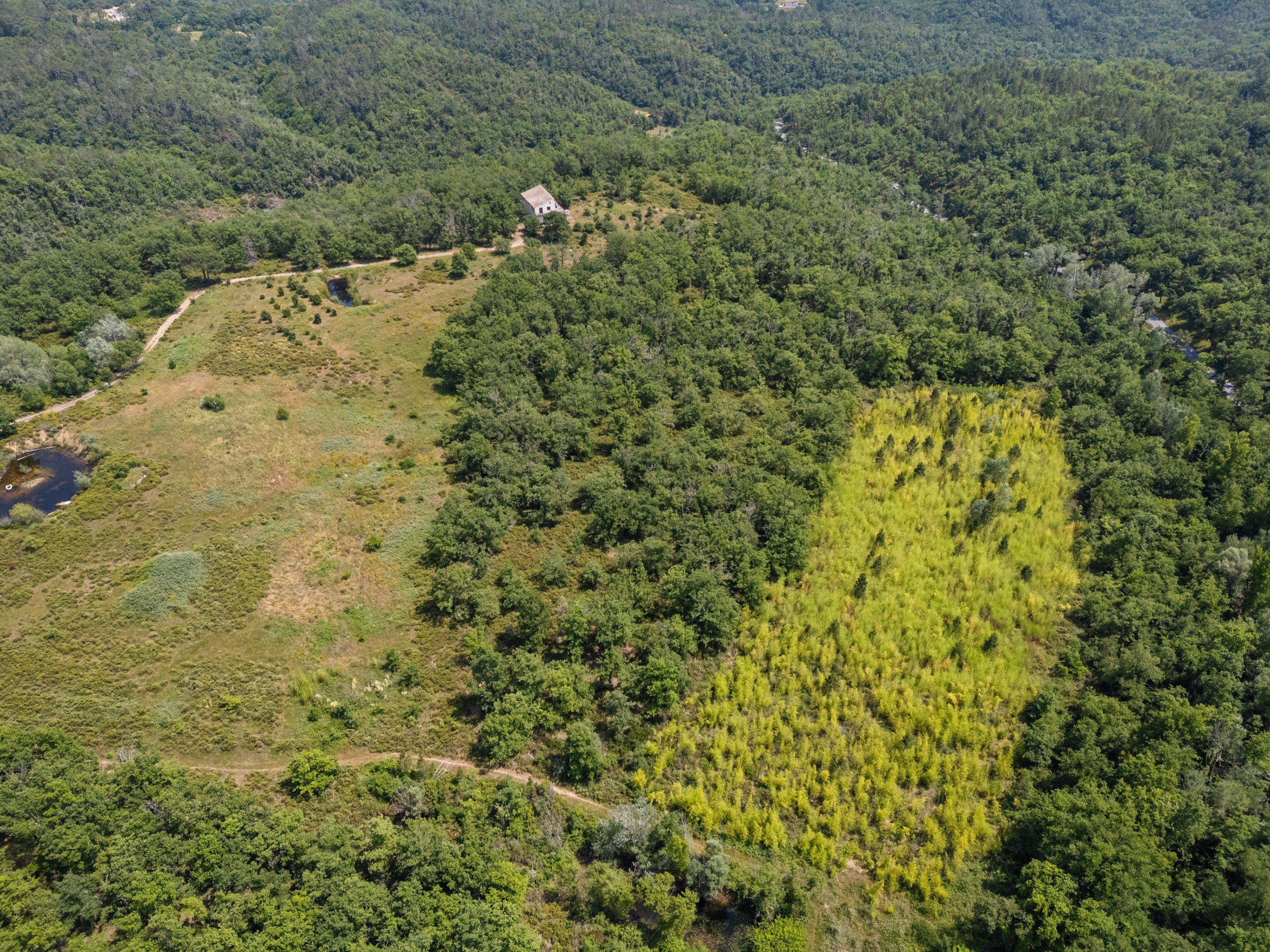 Organic estate with vineyard potential and panoramic views, over 44 Hectares in… - 物件實景