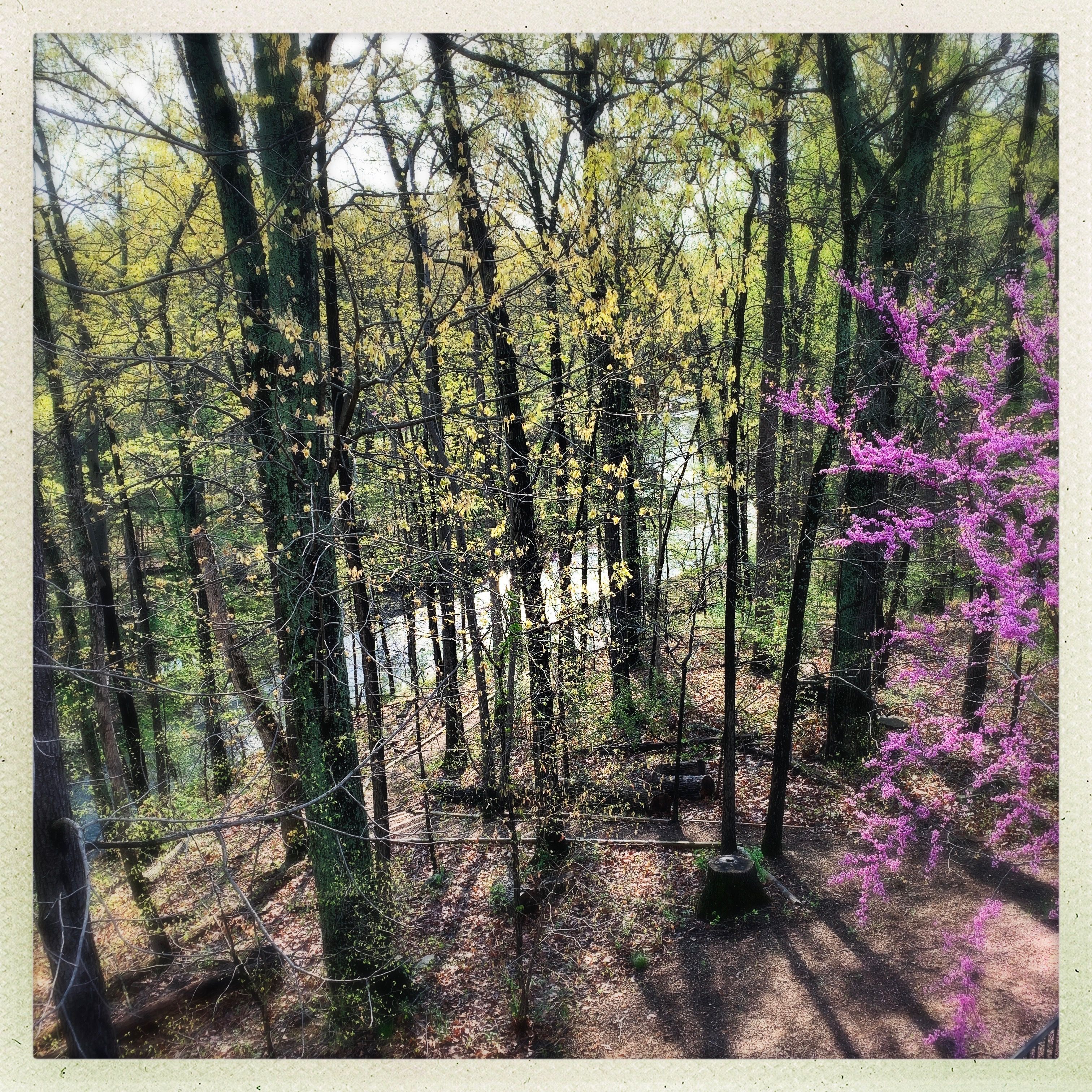  106 Calvary Court SE, Leesburg, VA, 20175 - 物件實景