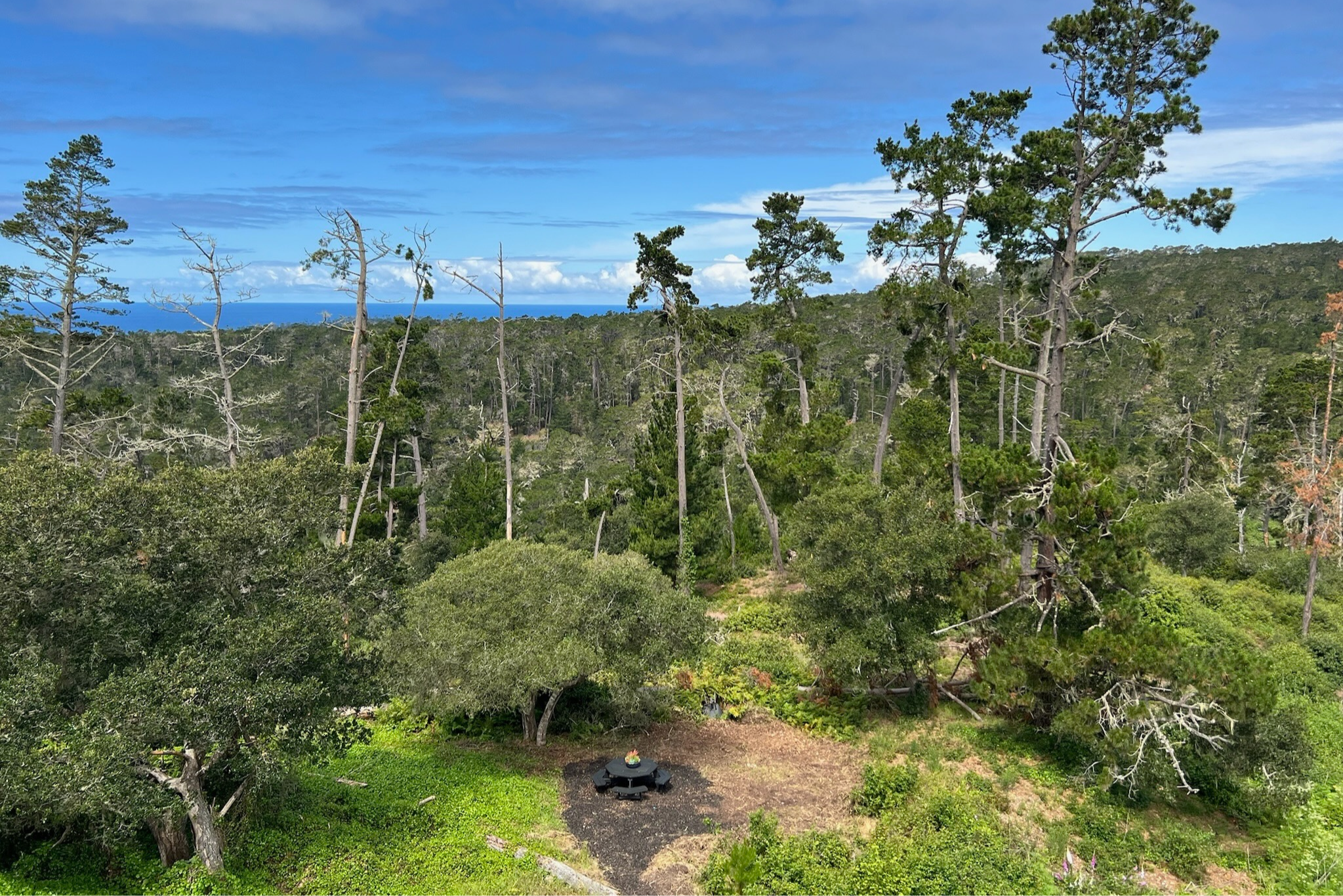  24312 San Juan Road - 物件實景