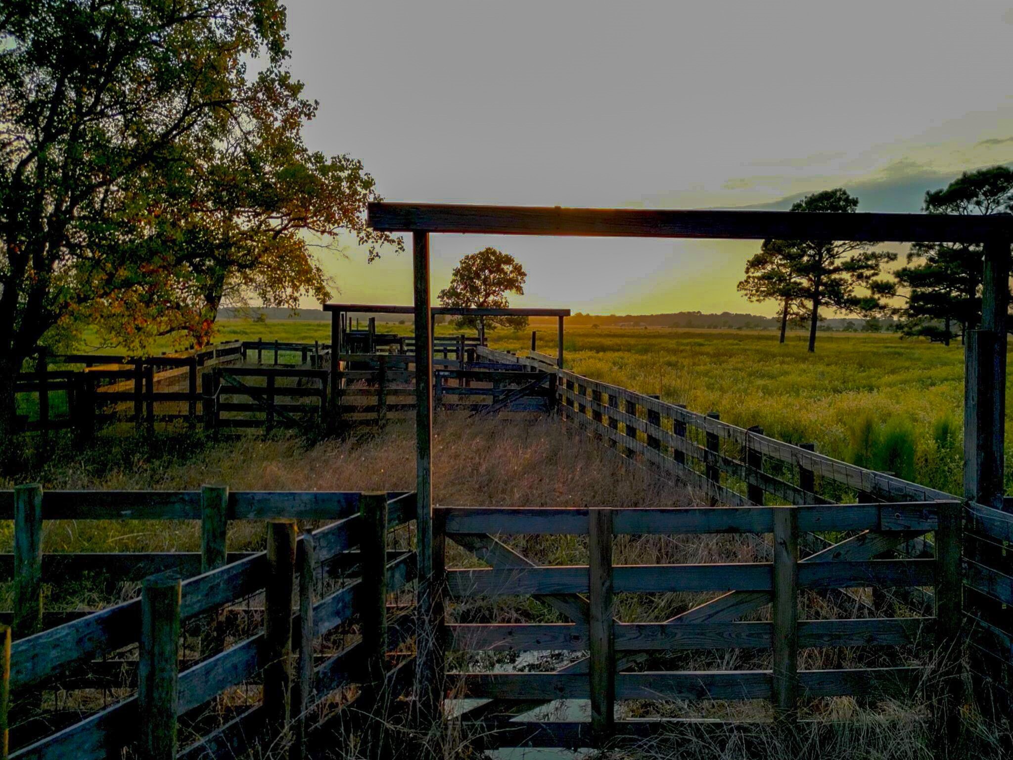 Anahuac, Texas, 77514, United States, ,Land,For Sale,1947447