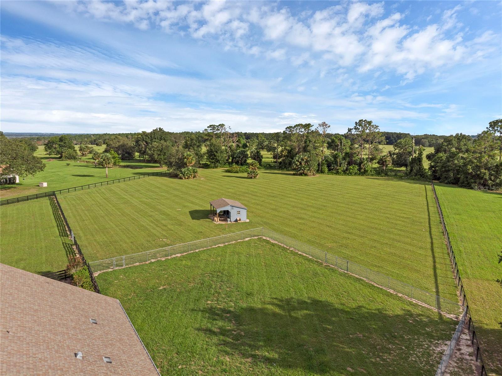 WEIRSDALE, Florida, 32195, United States, 5 Bedrooms Bedrooms, ,3 BathroomsBathrooms,Residential,For Sale,1921300