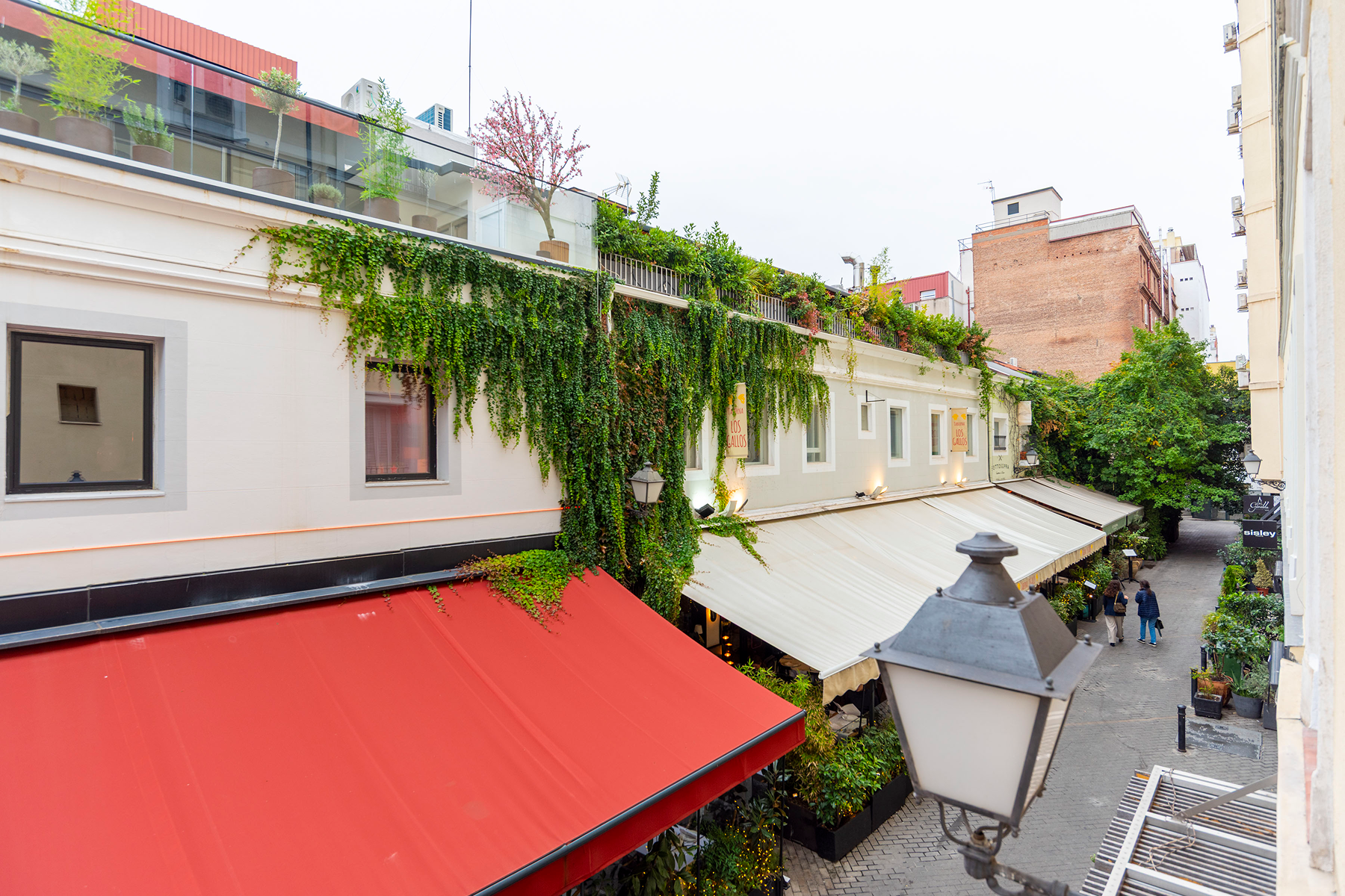  Classic apartment in Barrio Salamanca, Madrid - 物件實景