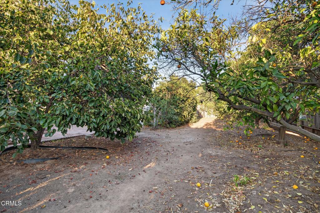 Ojai, California, 93023, United States, 4 Bedrooms Bedrooms, ,3 BathroomsBathrooms,Residential,For Sale,1989164