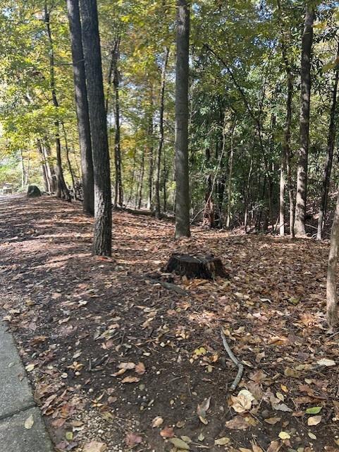 Atlanta, Georgia, 30327, United States, ,Land,For Sale,1988161