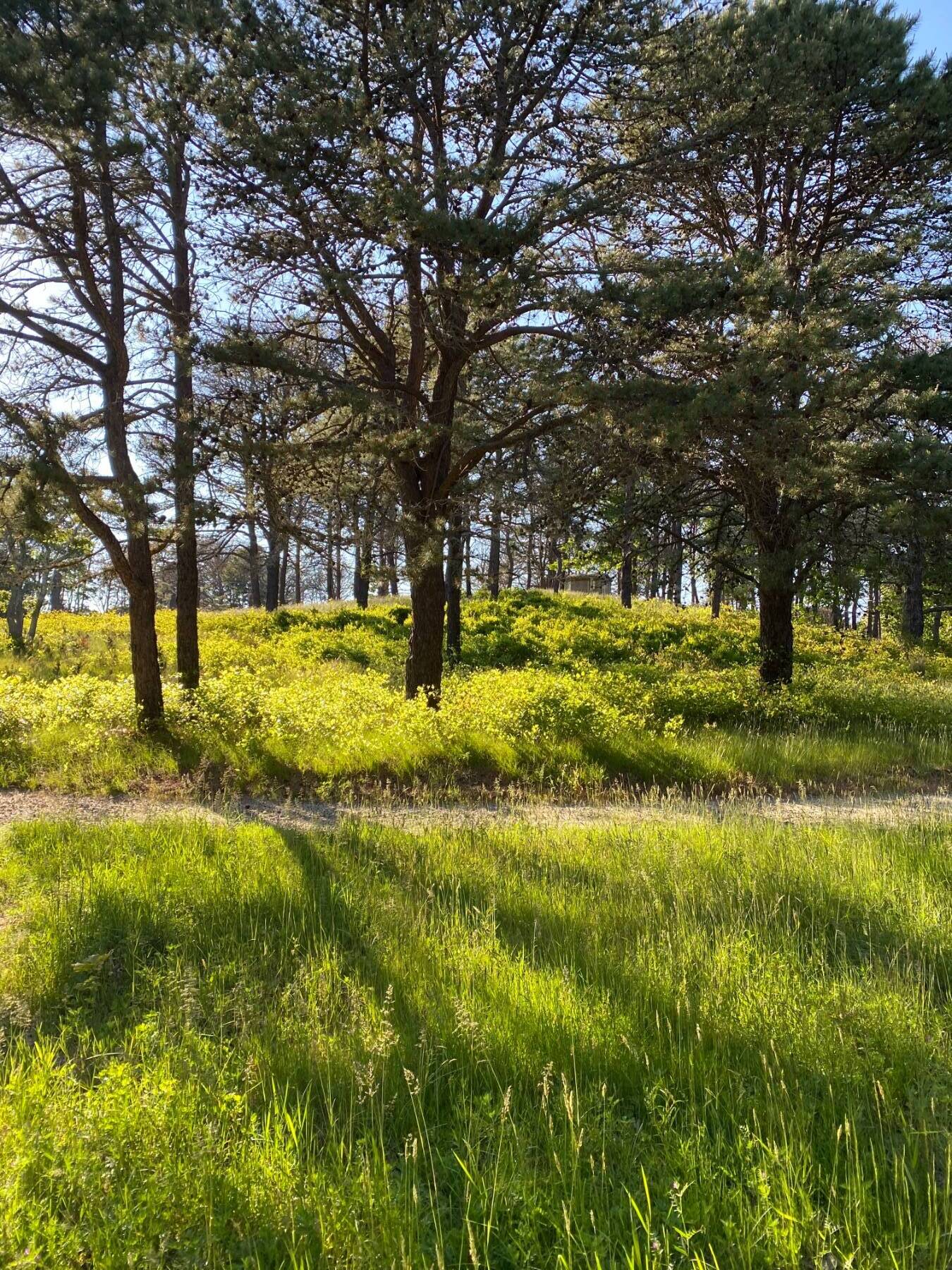  Legendary Atterbury Estate, Southampton NY - 物件實景