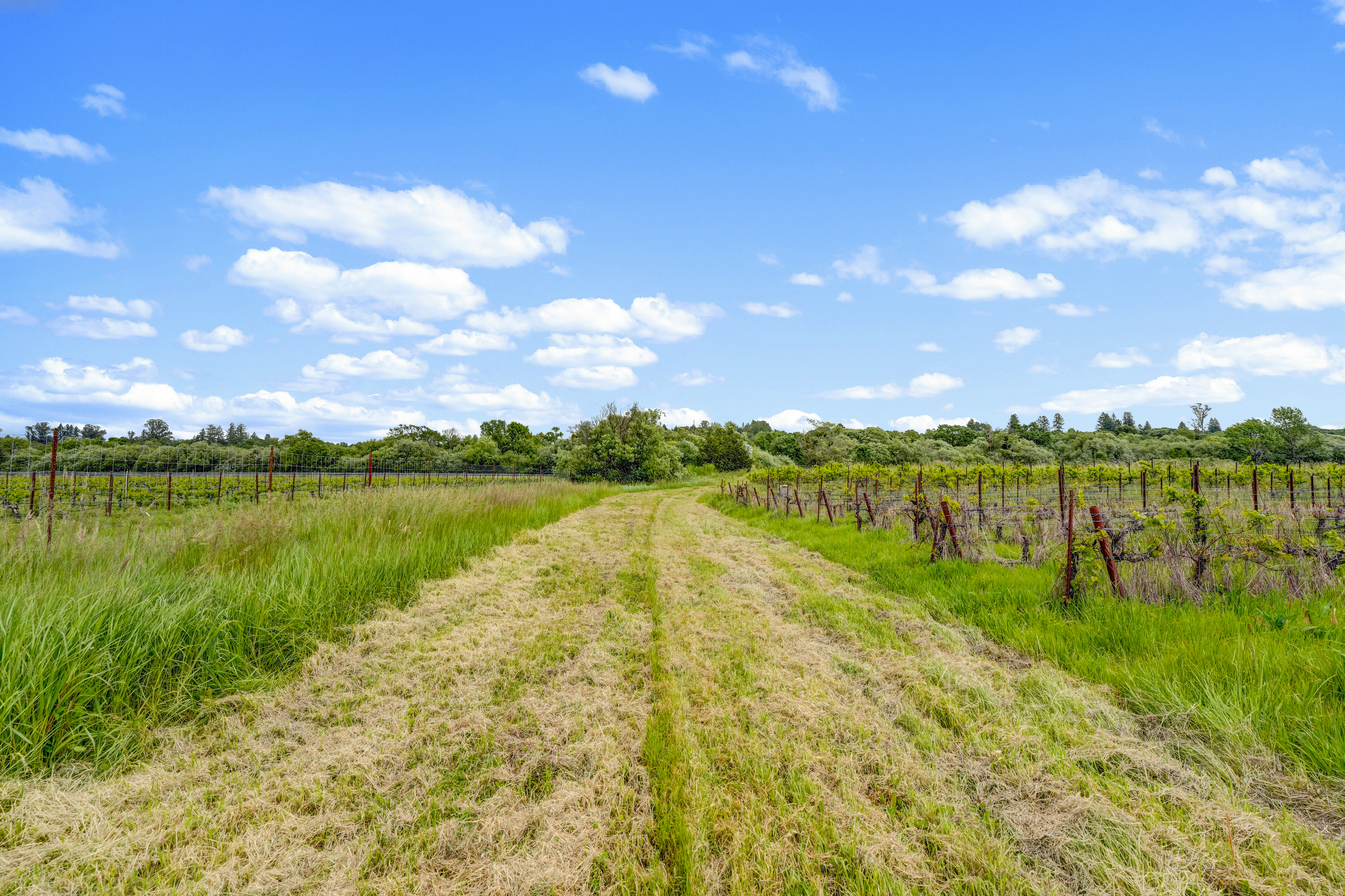  9700 Mill Station Road, Sebastopol, CA 95472 - 物件實景