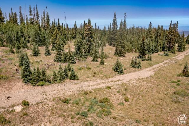 Brian Head, Utah, 84719, United States, ,Residential,For Sale,1915846