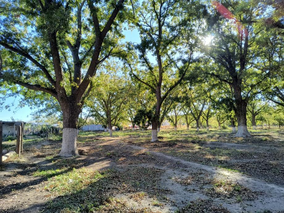 Parras, Coahuila de Zaragoza, 27987, Mexico, 1 Bedroom Bedrooms, ,Residential,For Sale,1695187