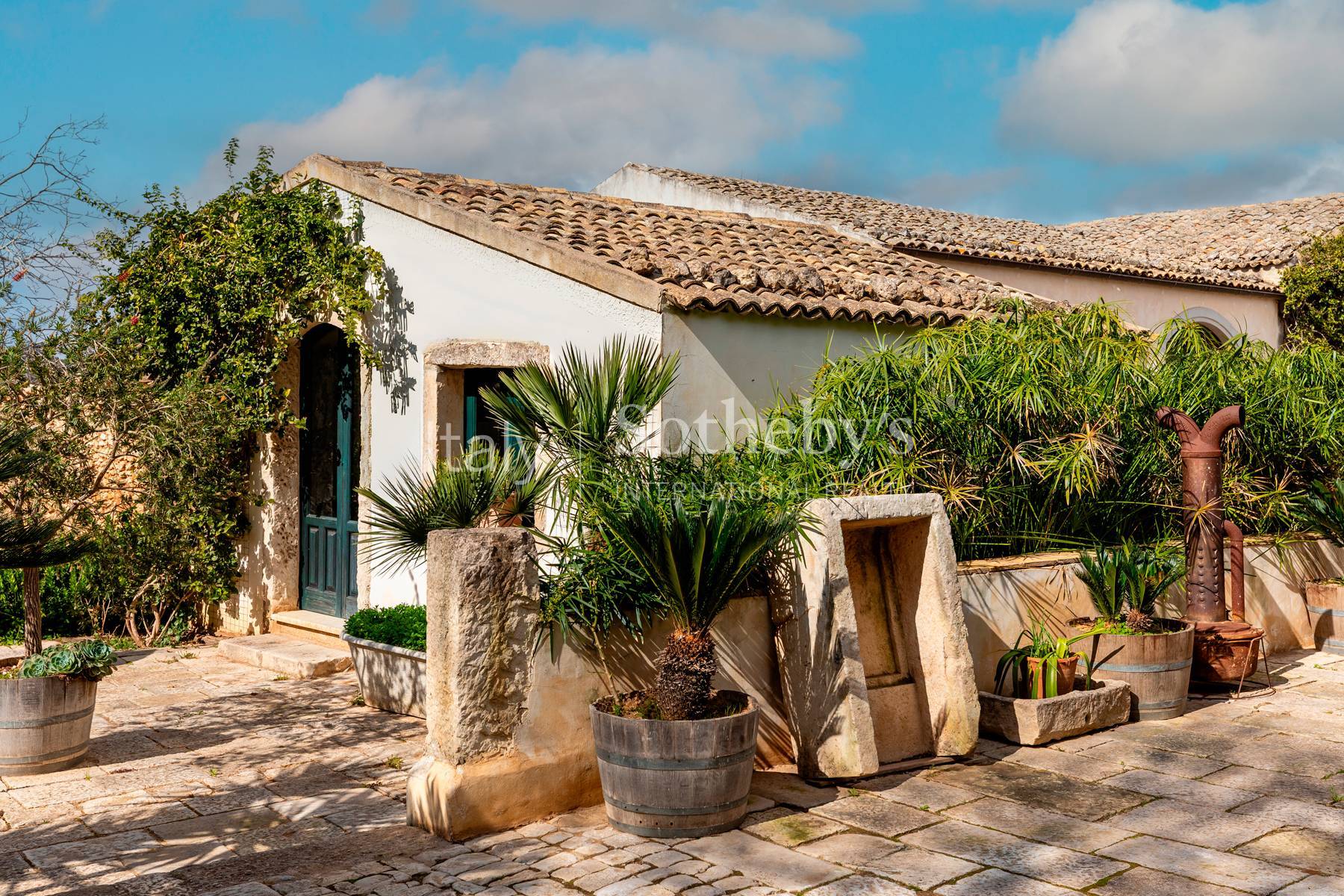  Historic Sicilian wine estate with vineyards and olive grove - 物件實景