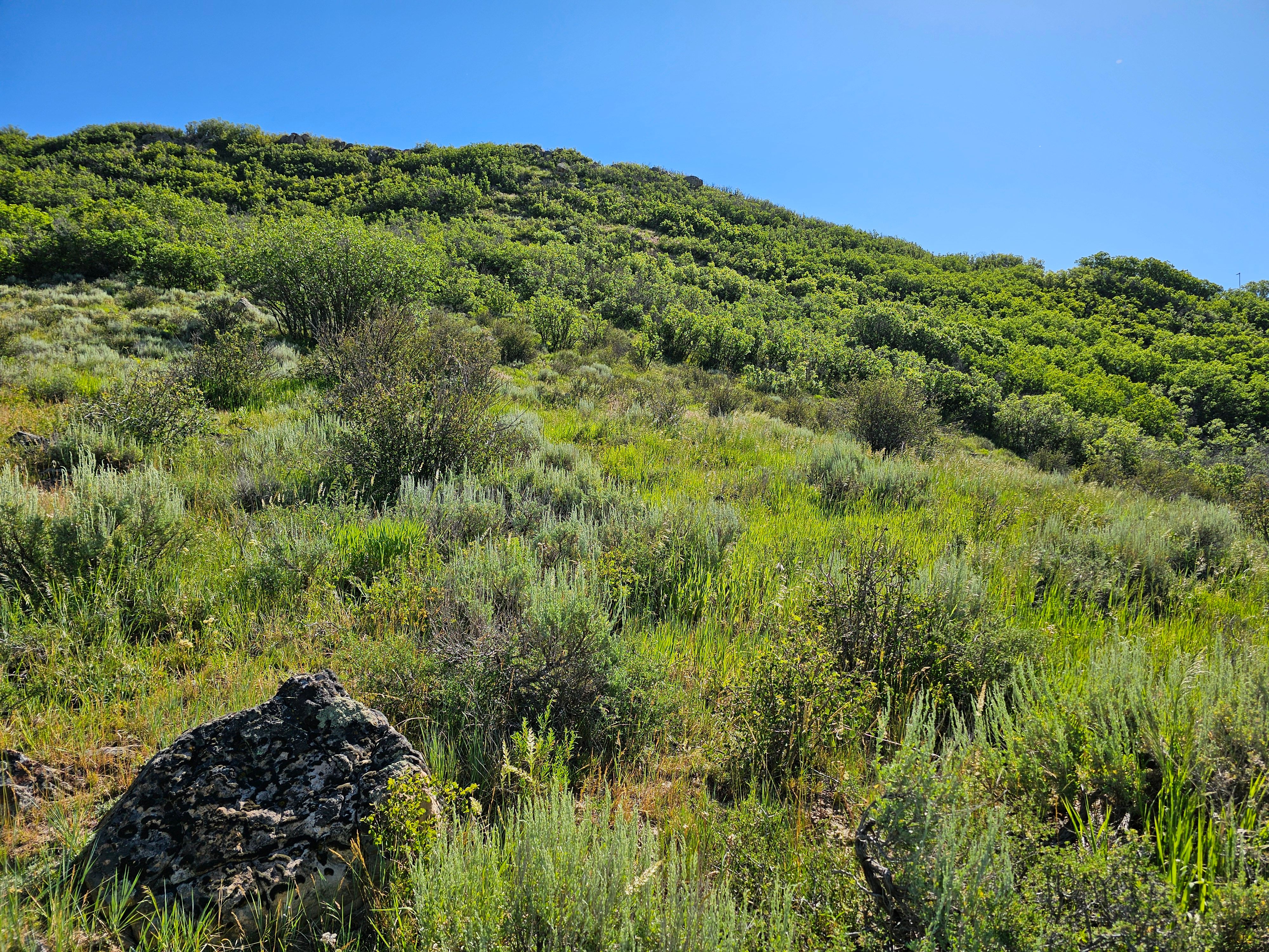  1327 Indian Trail, Steamboat Springs, CO, 80487 - 物件實景