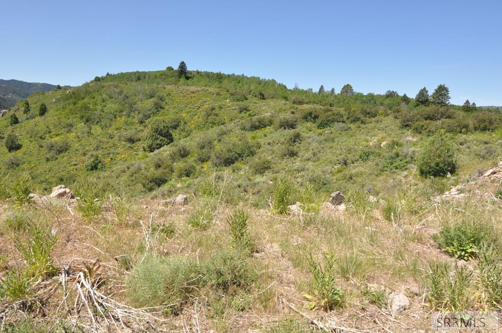 SWAN VALLEY, Idaho, 83449, United States, ,Land,For Sale,1982720