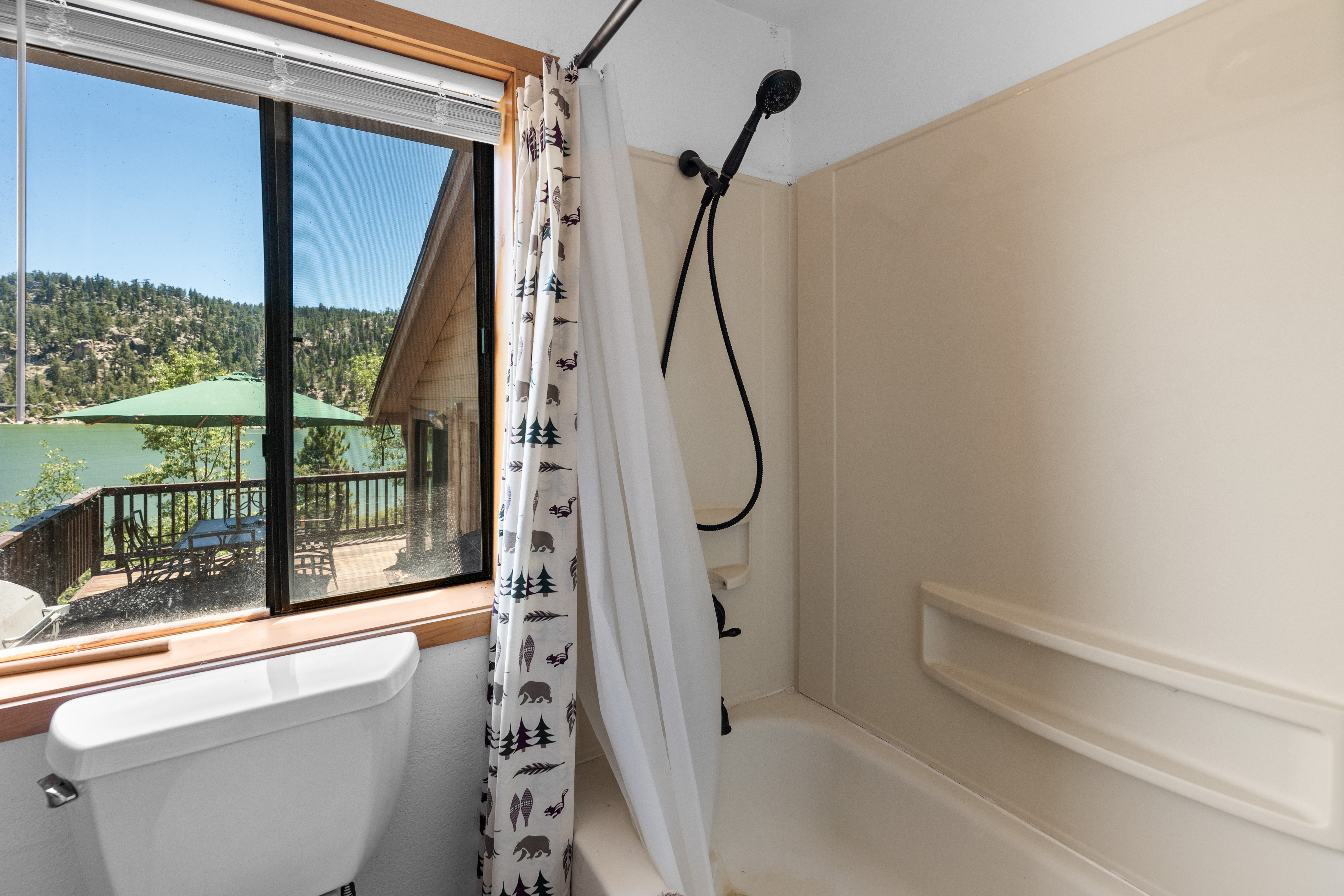  220 Big Bear Tract, Big Bear Lake, CA 92315 - 物件實景