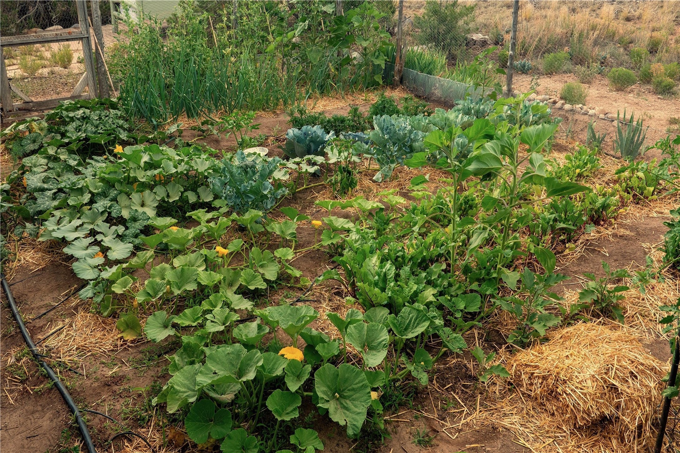  19 B Paseo Nopal - 物件實景