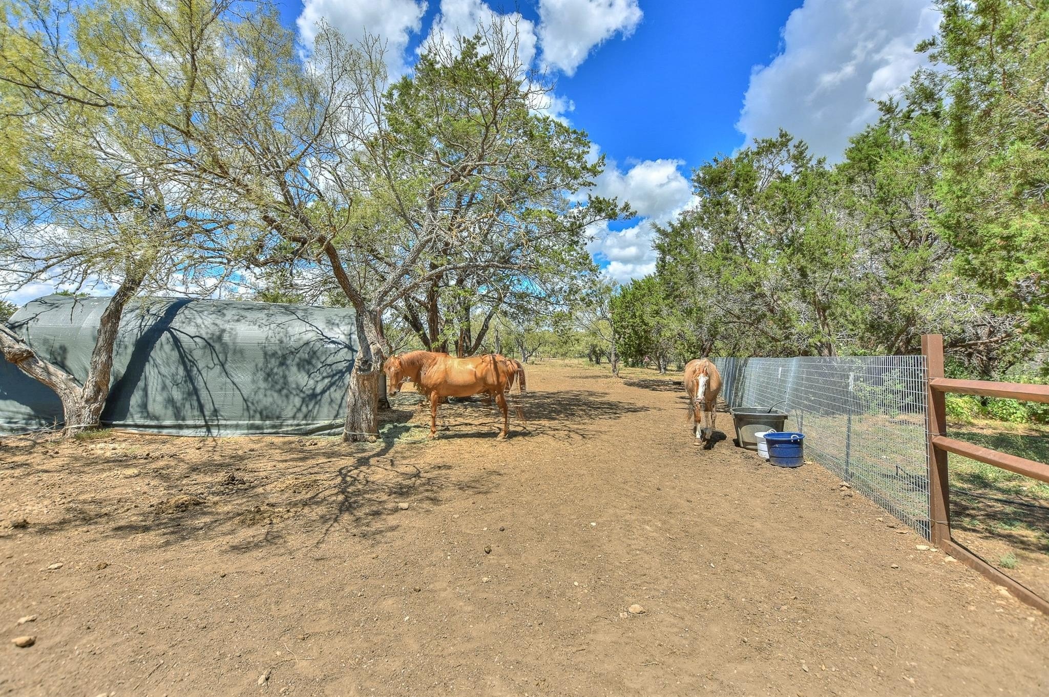 Lampasas, Texas, 76550, United States, 3 Bedrooms Bedrooms, ,3 BathroomsBathrooms,Residential,For Sale,1983248