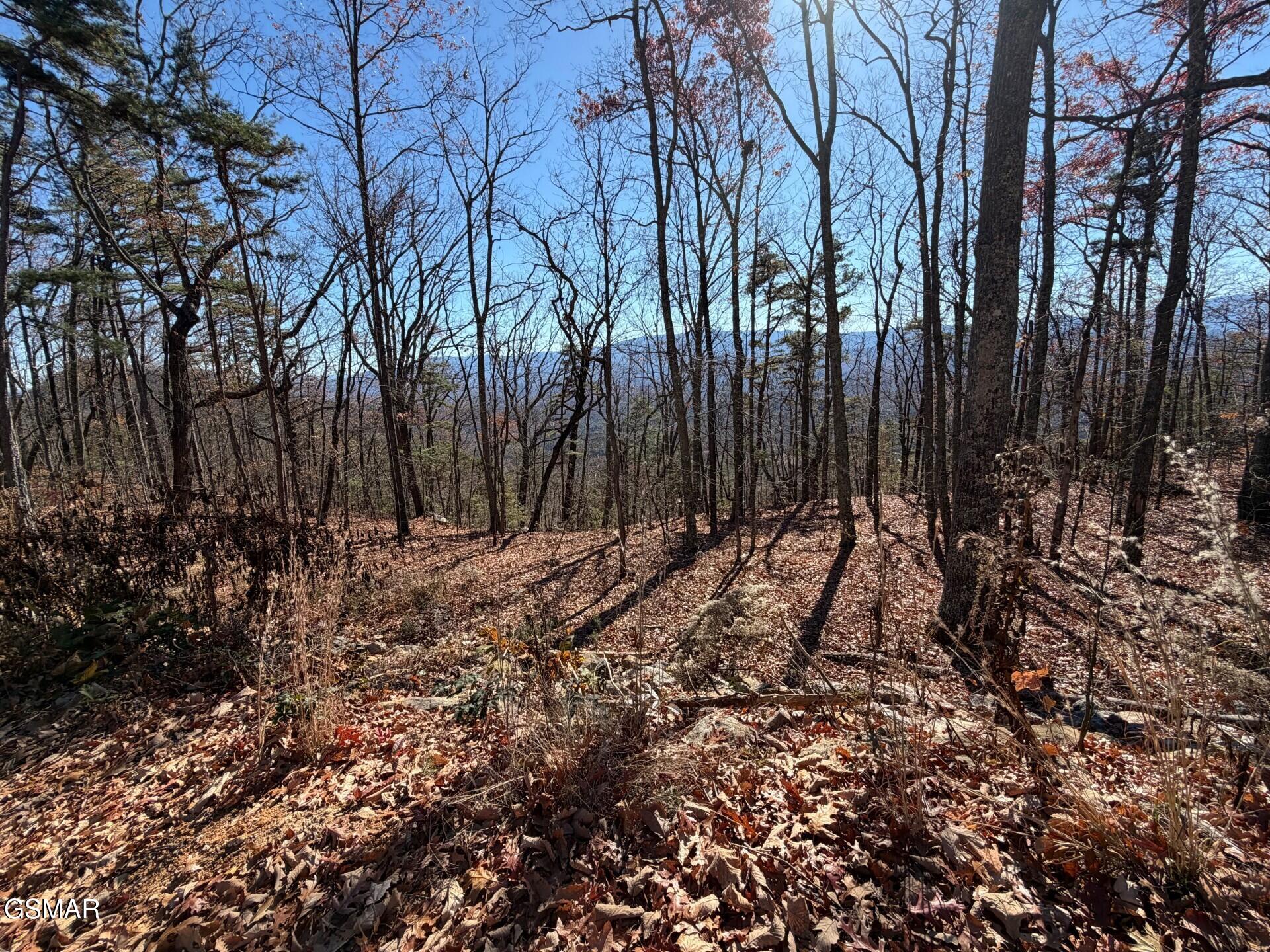 Sevierville, Tennessee, 37876, United States, ,Land,For Sale,2008093