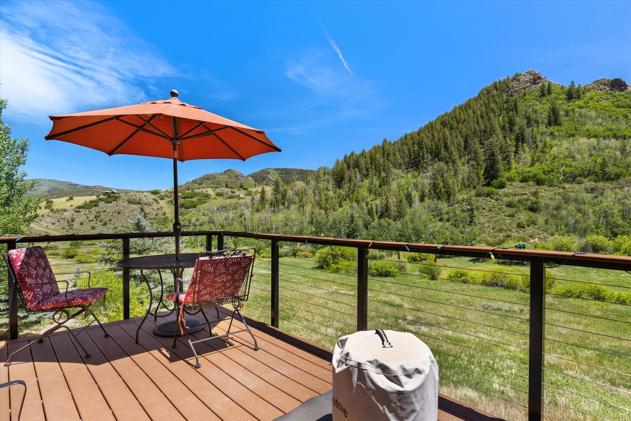 30390 Coyote Run Court, Oak Creek, CO, 80467 - 物件實景