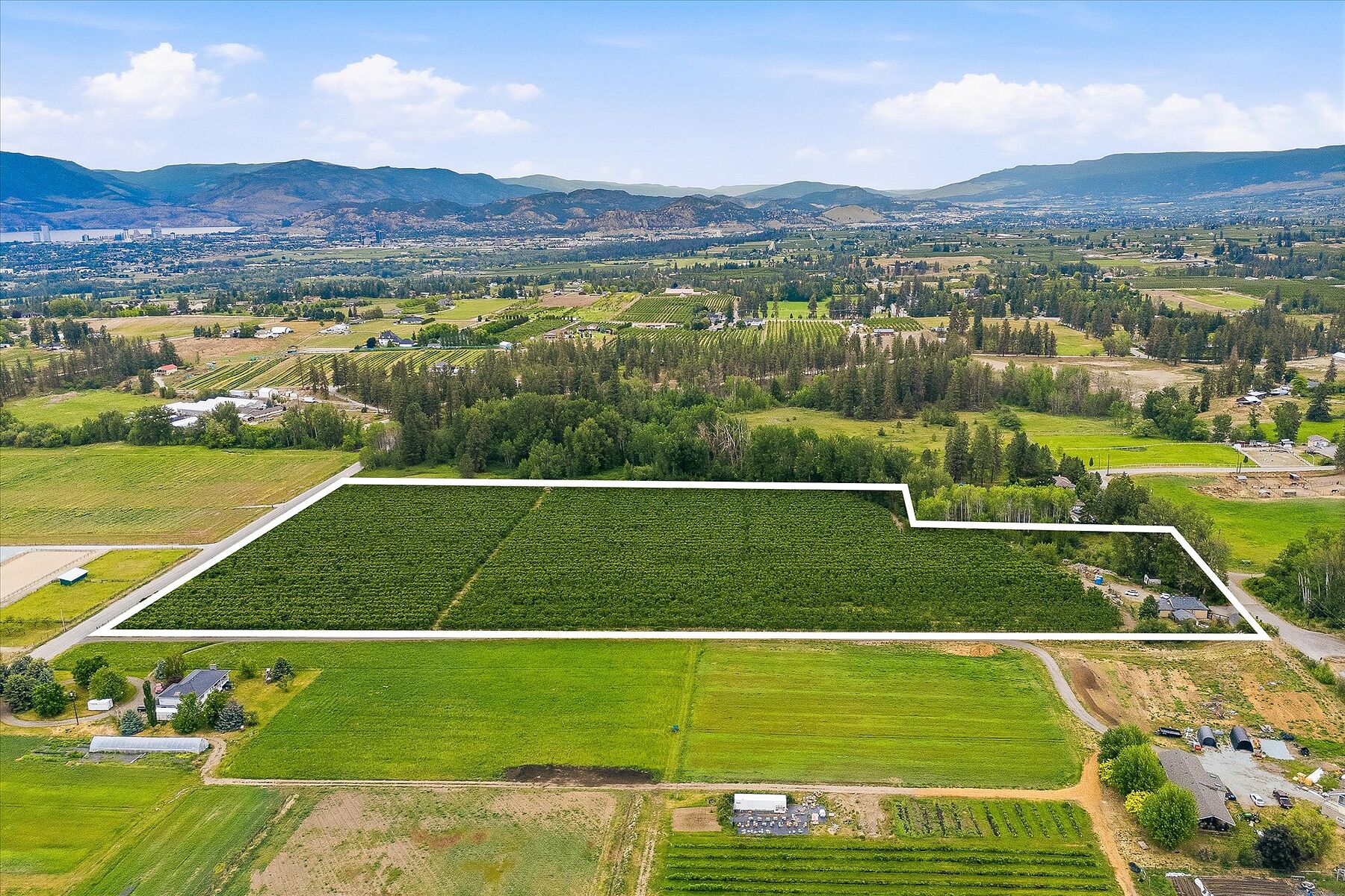  17.66 Acre Cherry Orchard - 物件實景