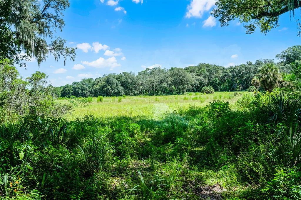 Orlando, Florida, 32818, United States, ,Land,For Sale,1933499