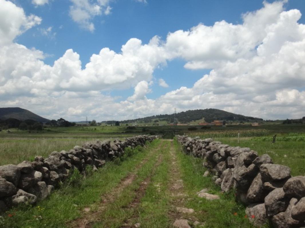 Rancho Tecolapan, Jilotepec, Estado de México, 54270, Mexico, 1 Bedroom Bedrooms, ,Residential,For Sale,Rancho Tecolapan,1443404