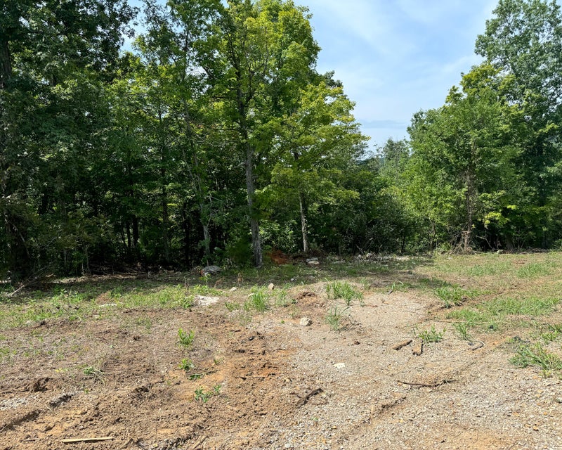 Somerset, Kentucky, 42501, United States, ,Residential,For Sale,1923151