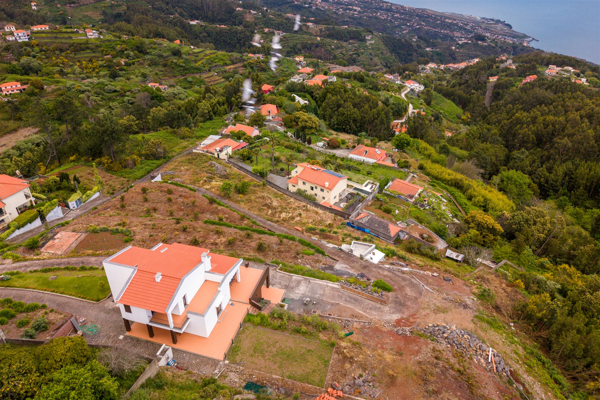  Farm, 4 bedrooms, for Sale - 物件實景